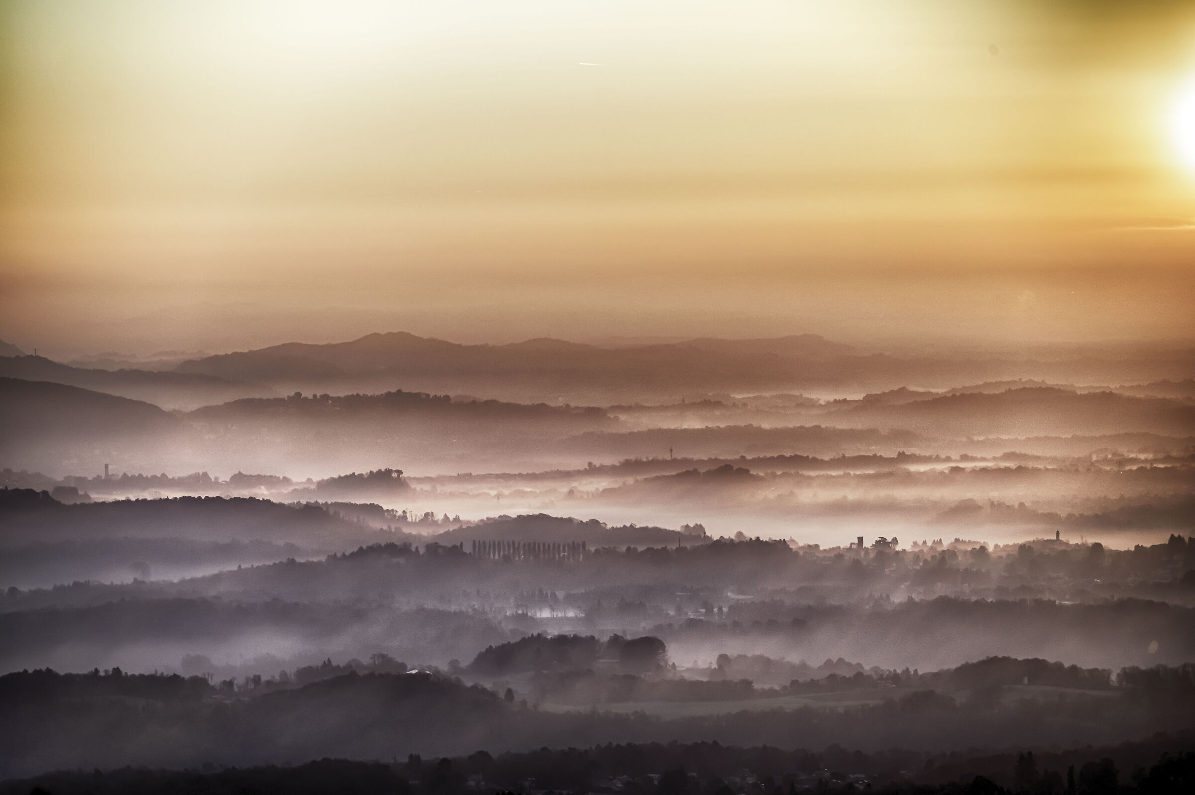 alba nebbiosa