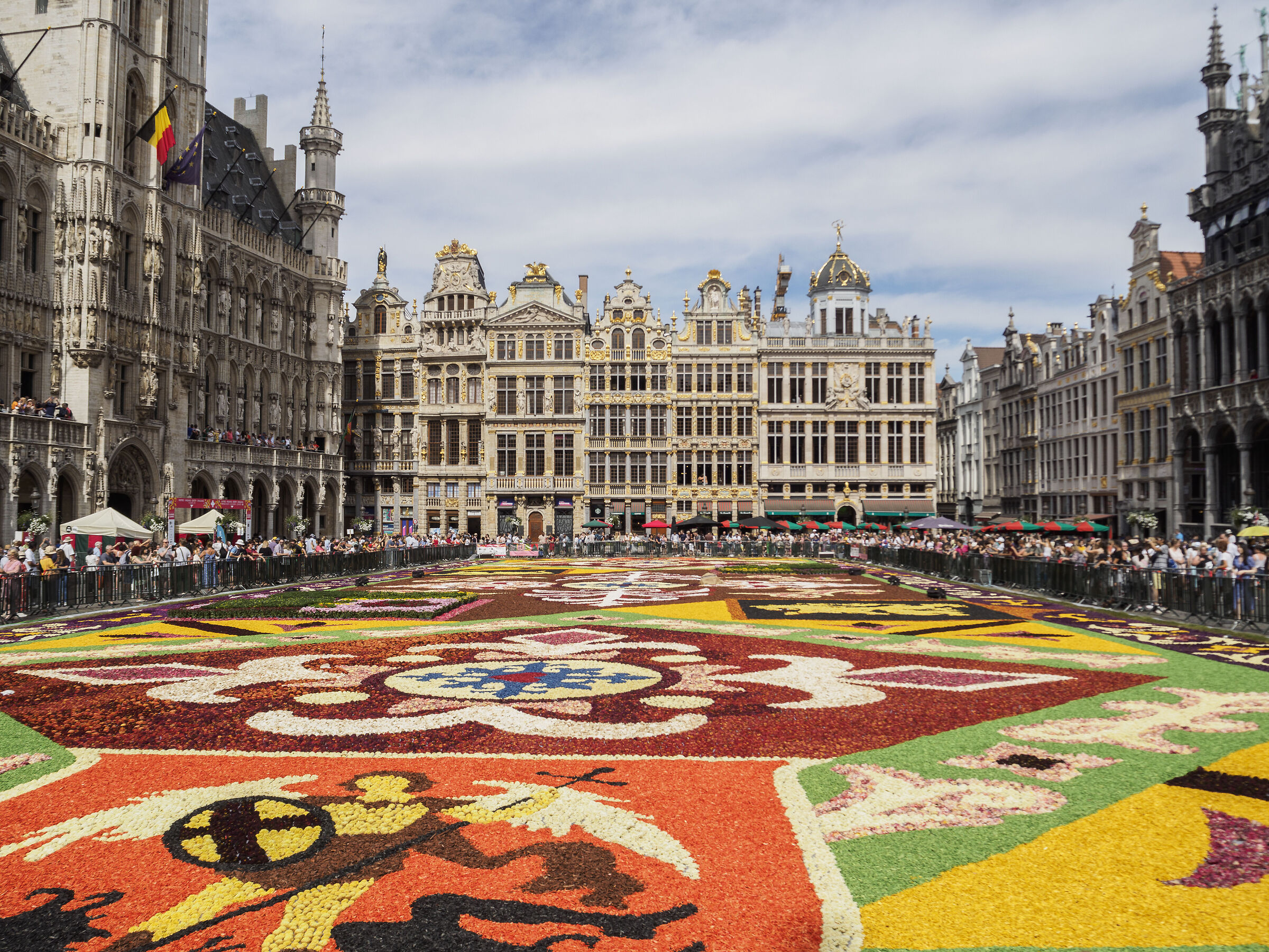 Bruxelles Flower Carpet 2022