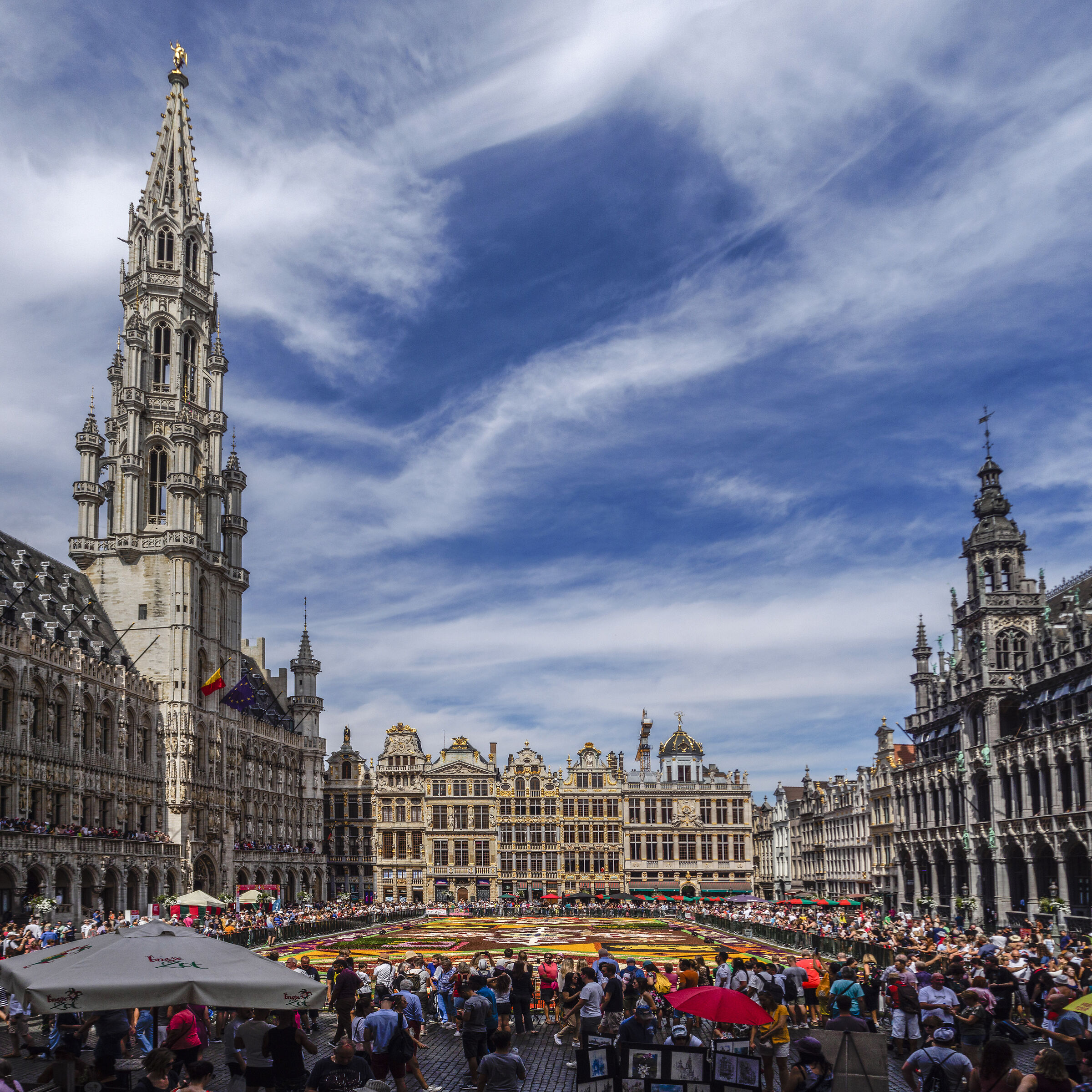 Bruxelles Flower Carpet 2022