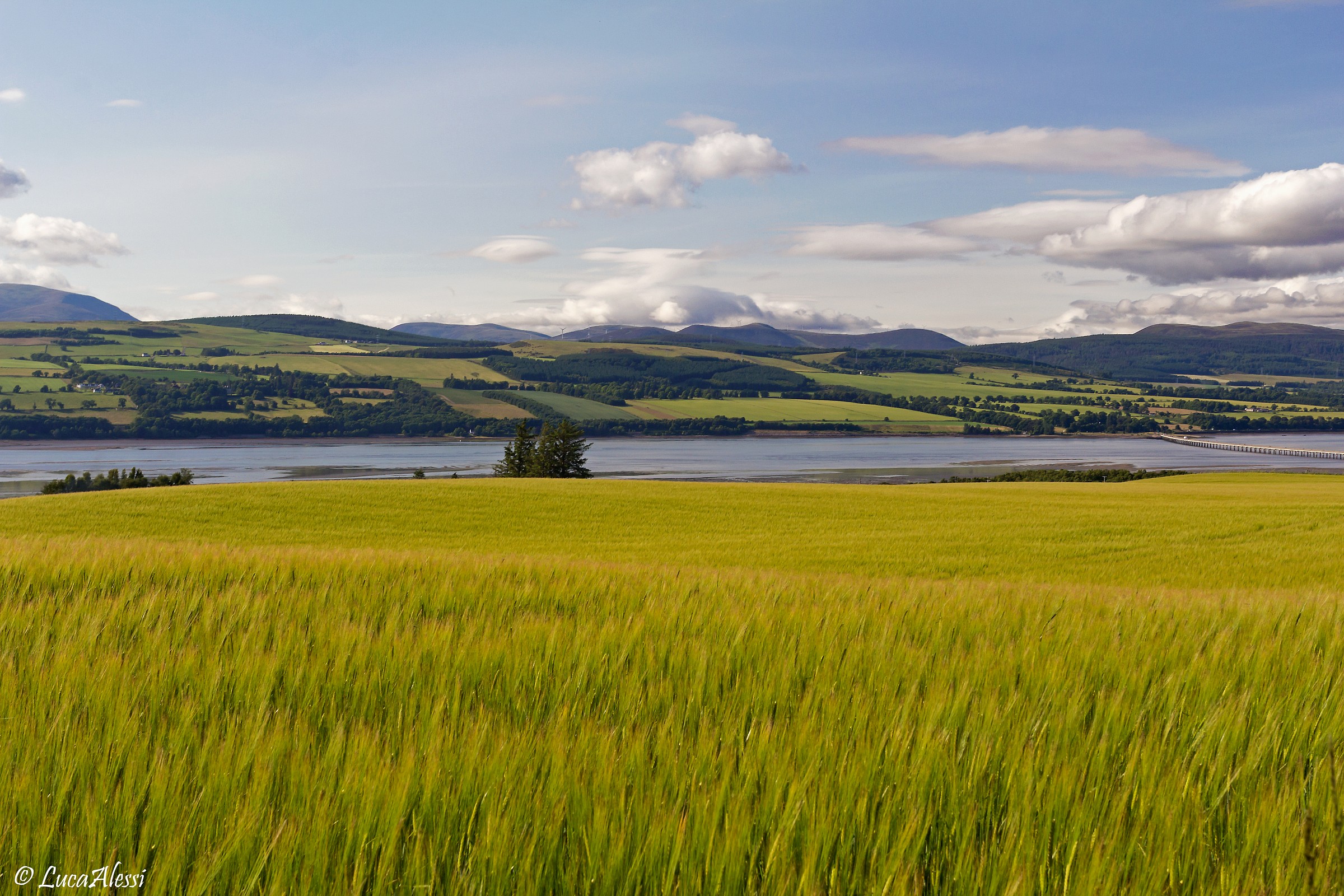 Landscape near Inverness