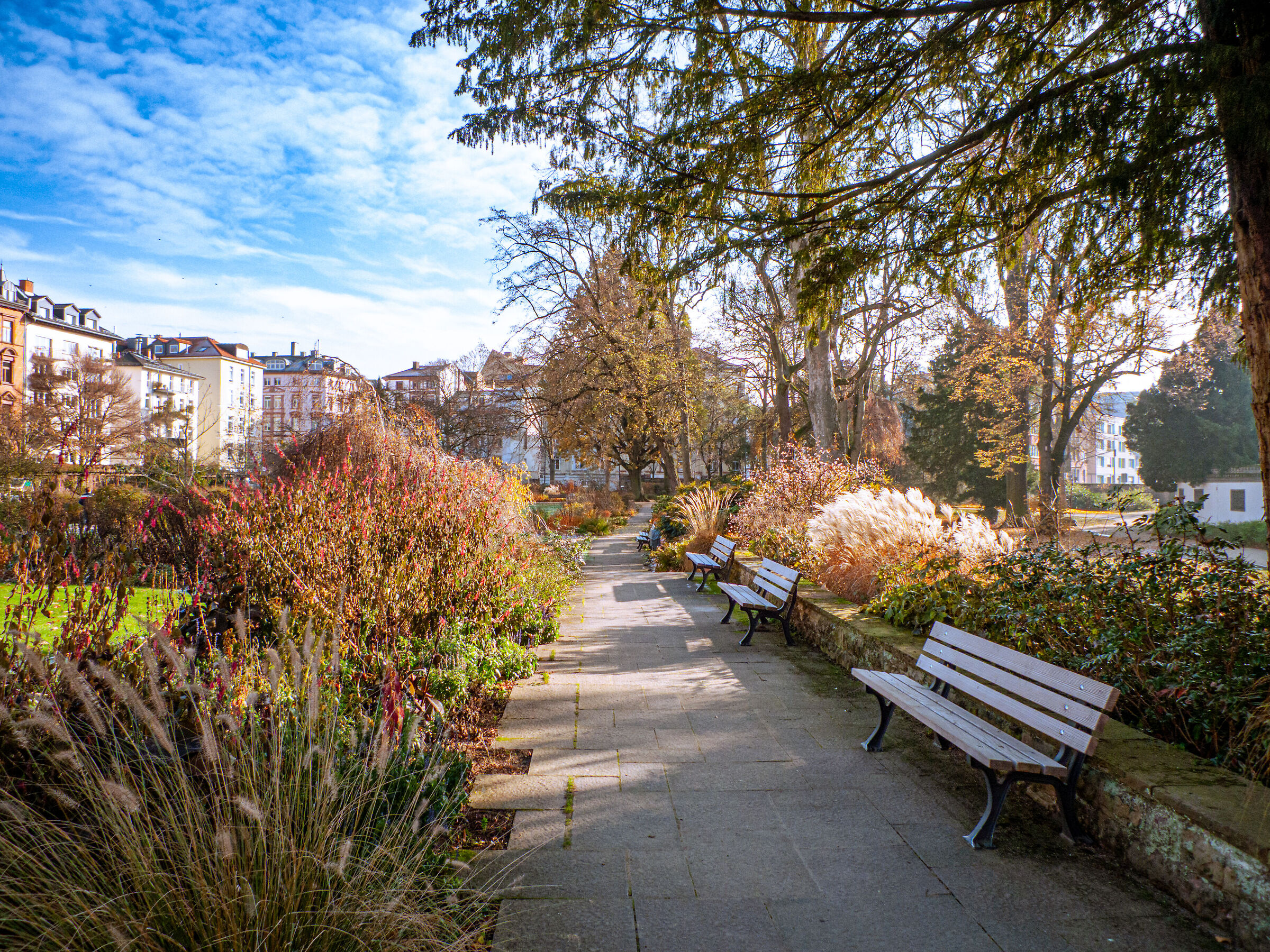 Panchine del silenzio