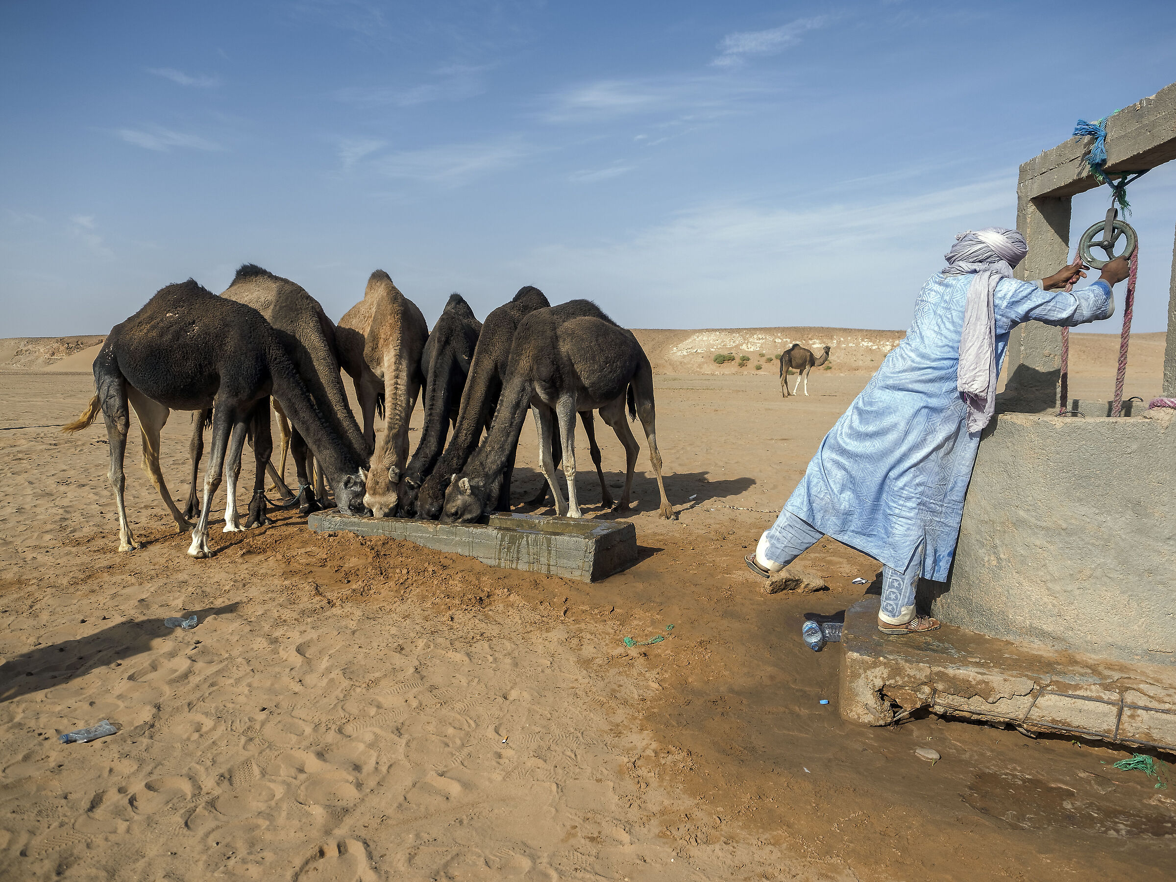 Marocco desert life