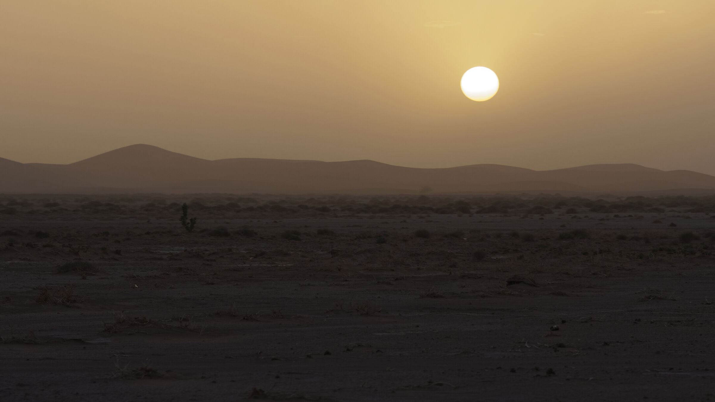 Tramonto nel deserto