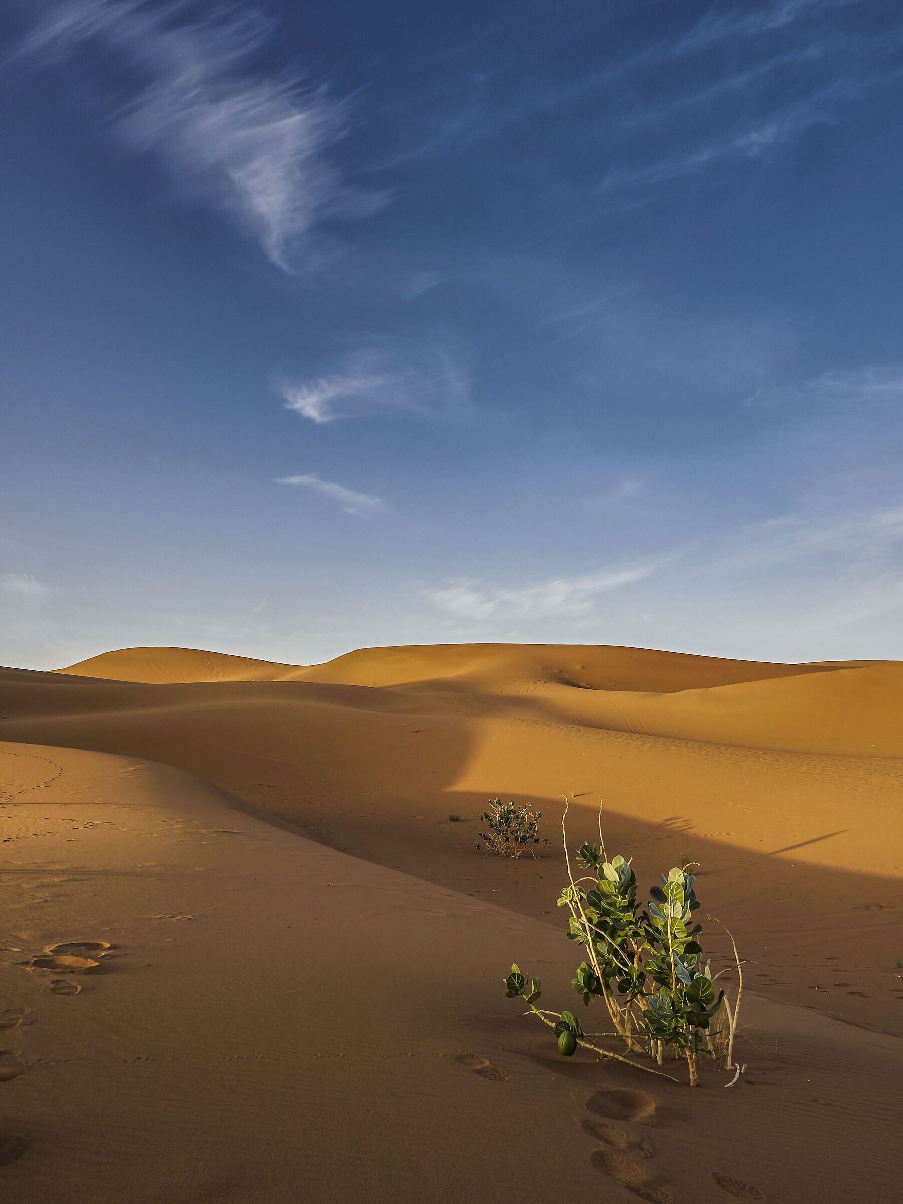 Deserto marocchino