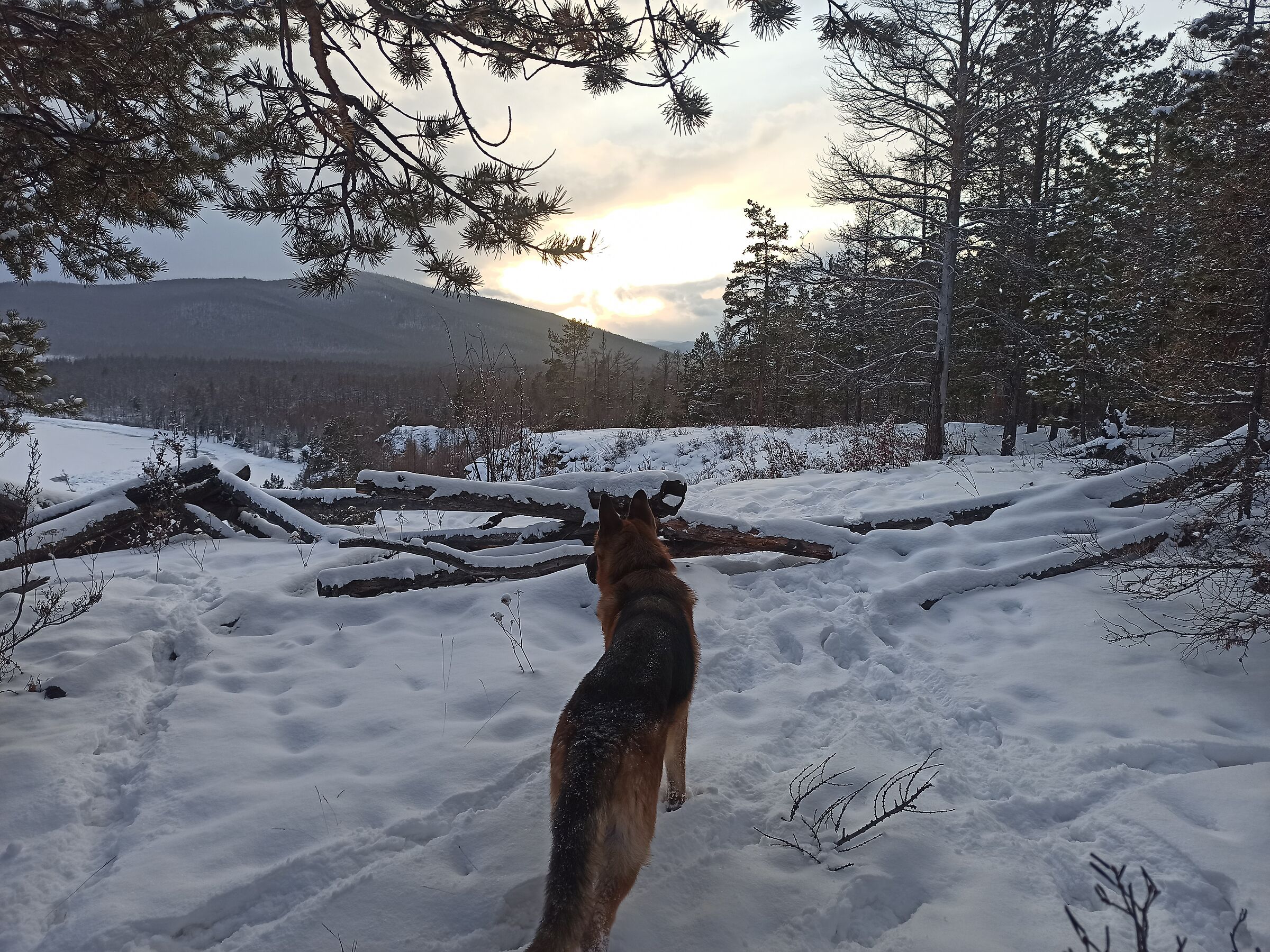Baikal Settentrionale
