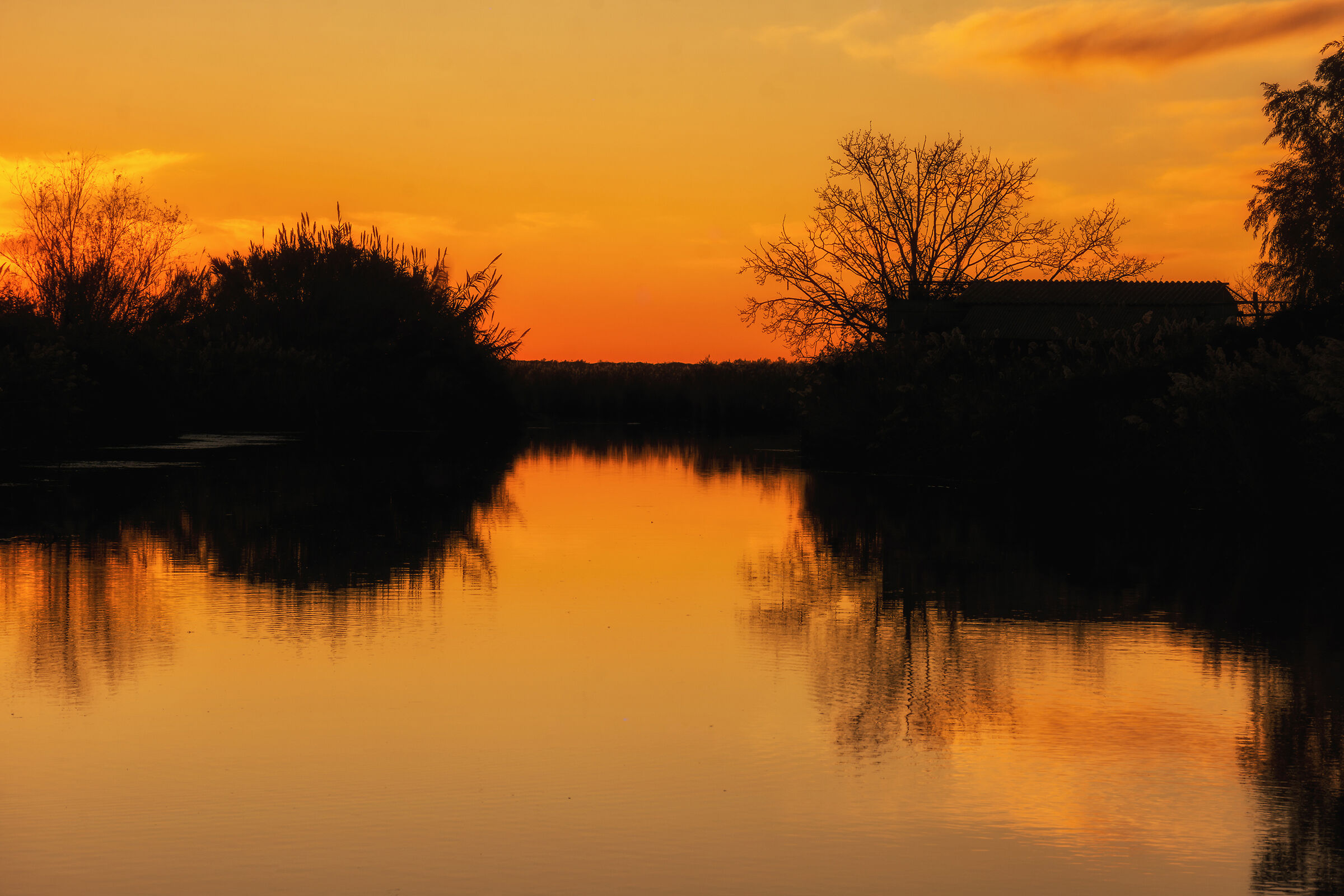 The sunset of Massaciuccoli