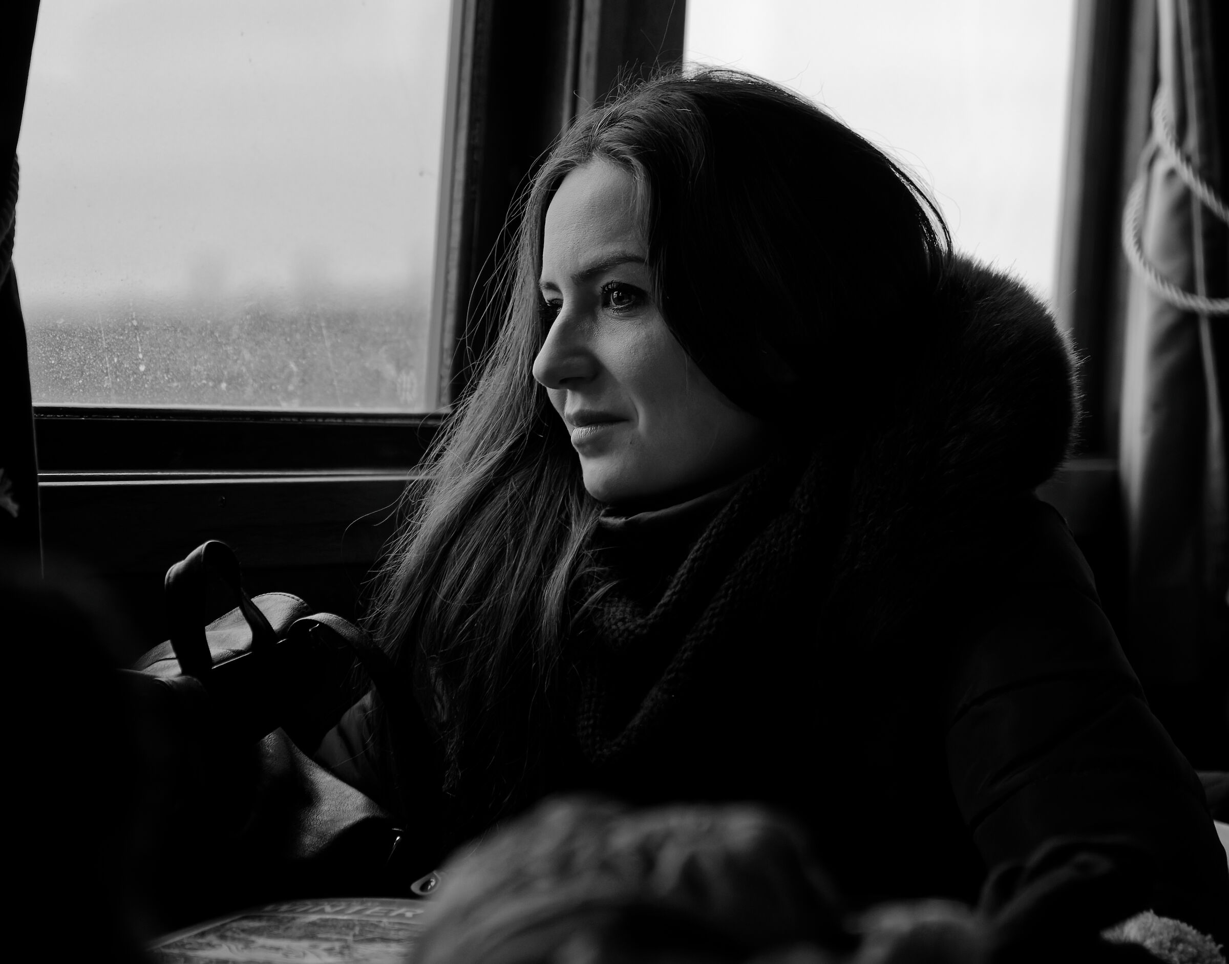 Portrait stolen on a ferry in Stockholm