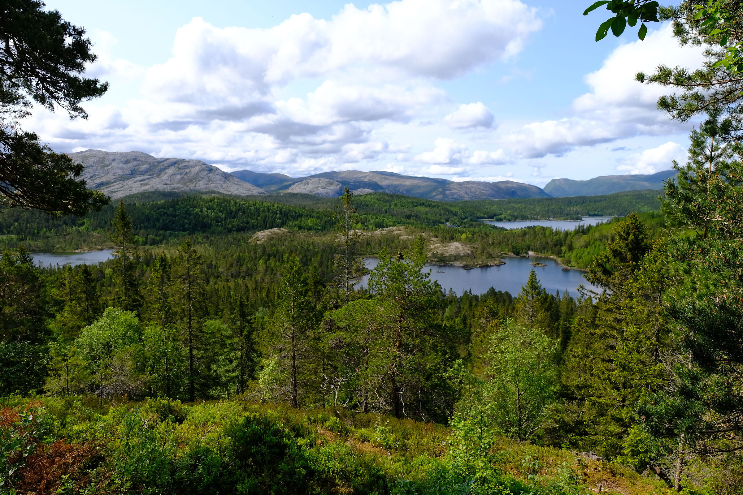 Norway 2025