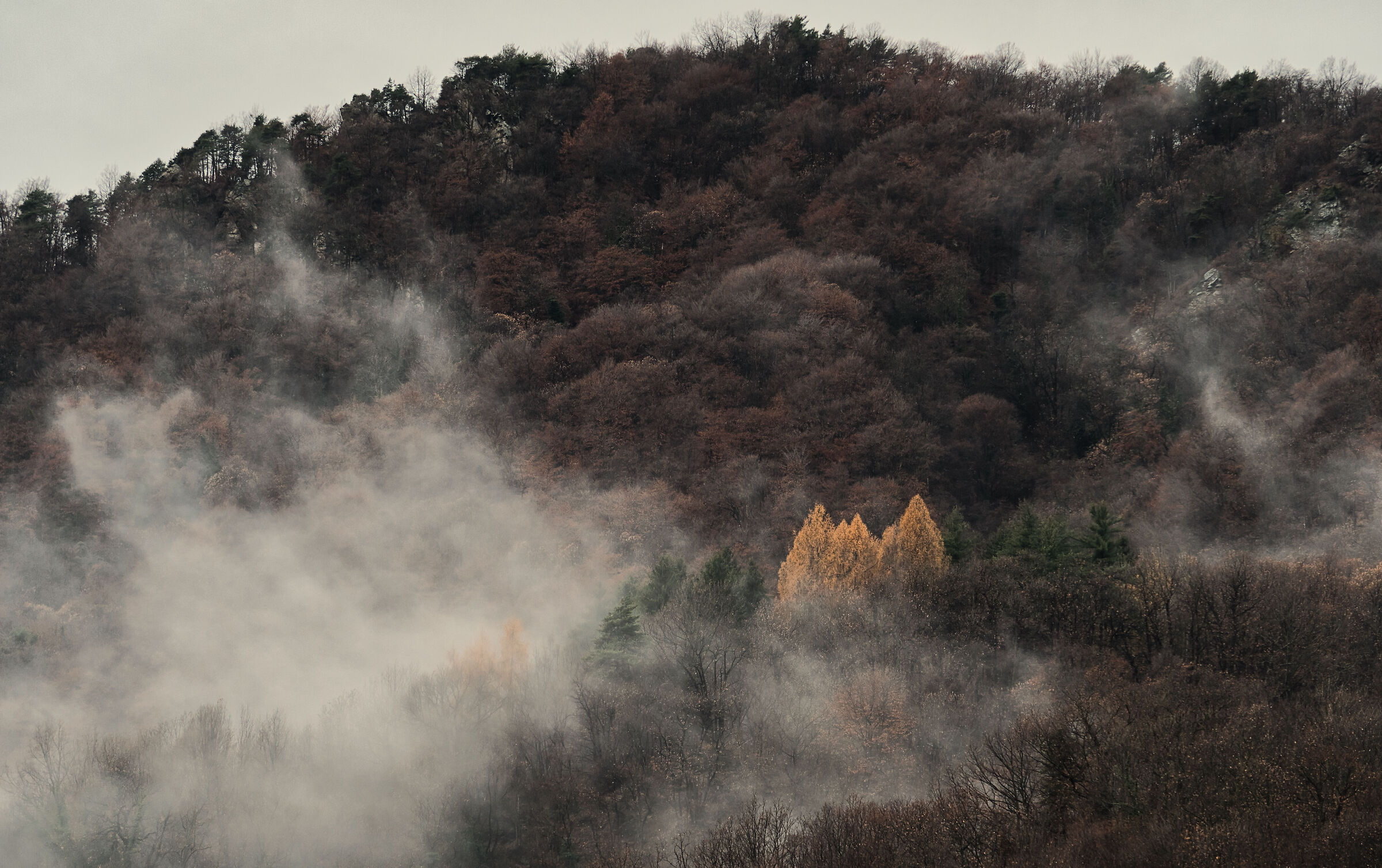 L'autunno finito