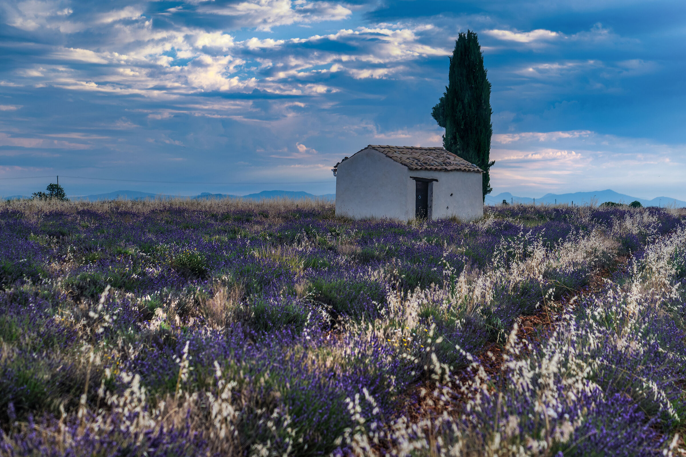 Provence at sunset 1