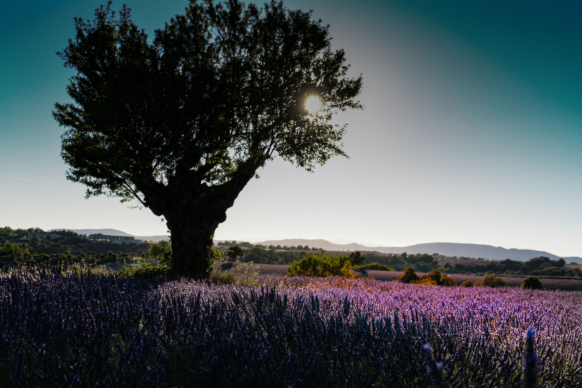 Provence at sunset 2