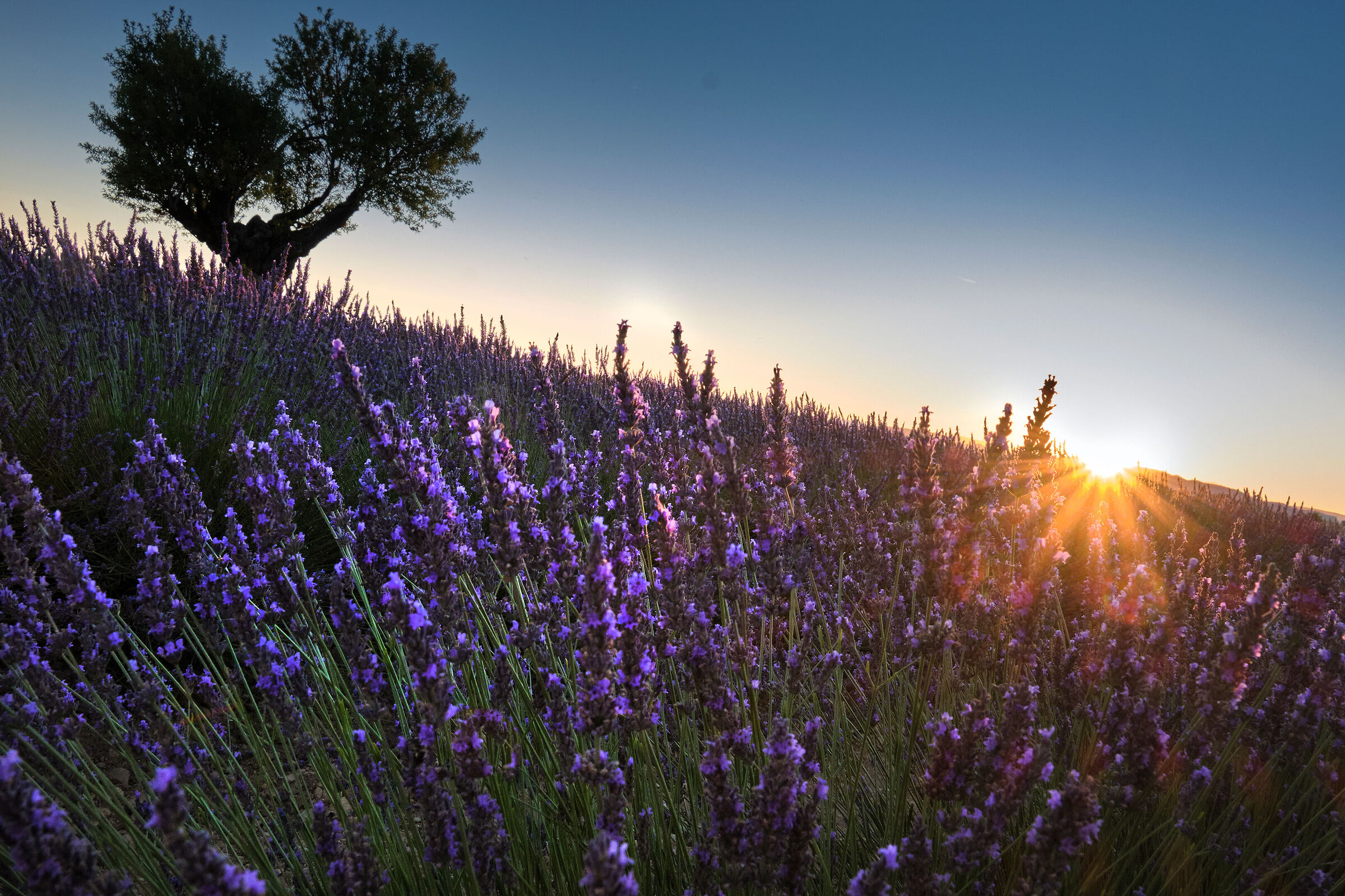 Provence at sunset 3
