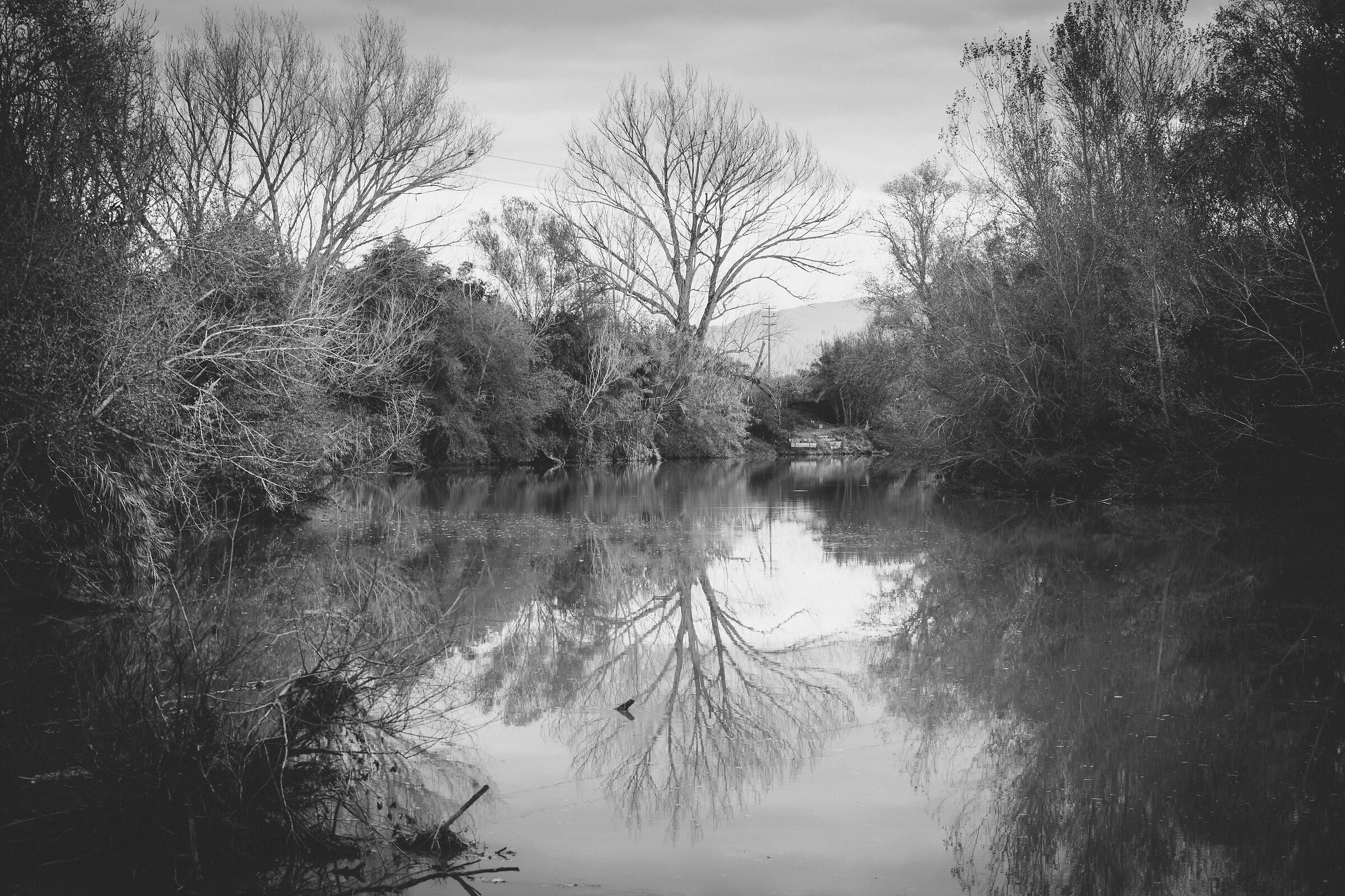 Untitled Photo