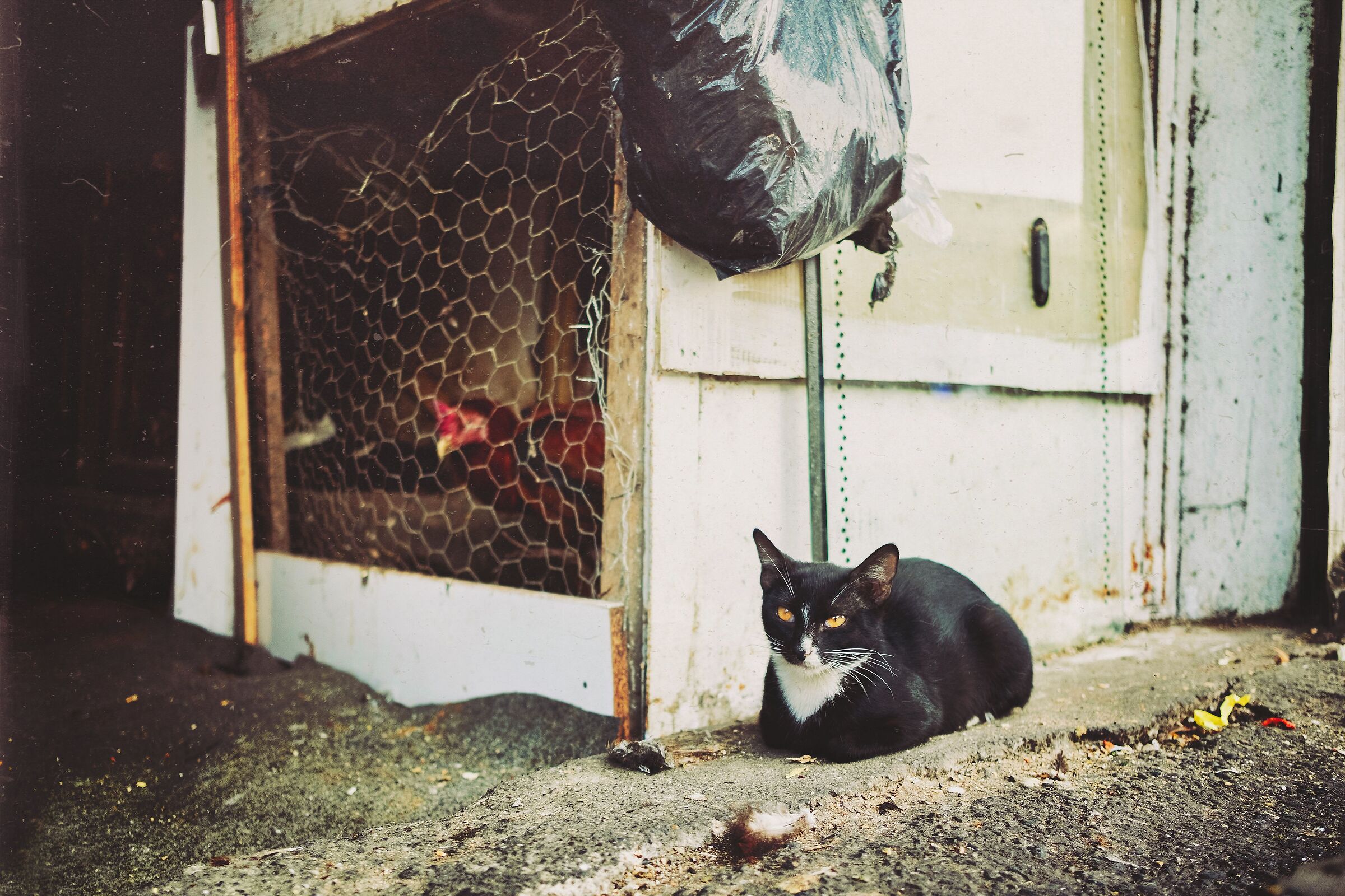 Untitled Photo