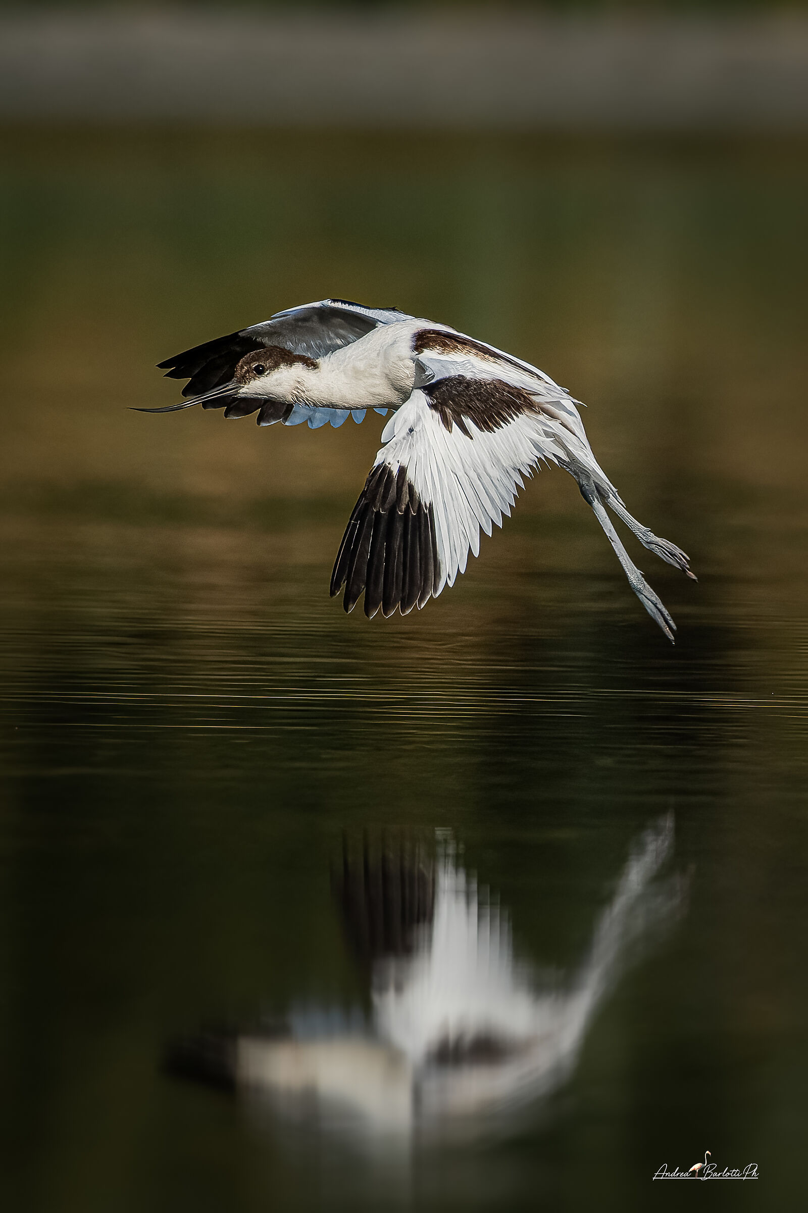 Landing on