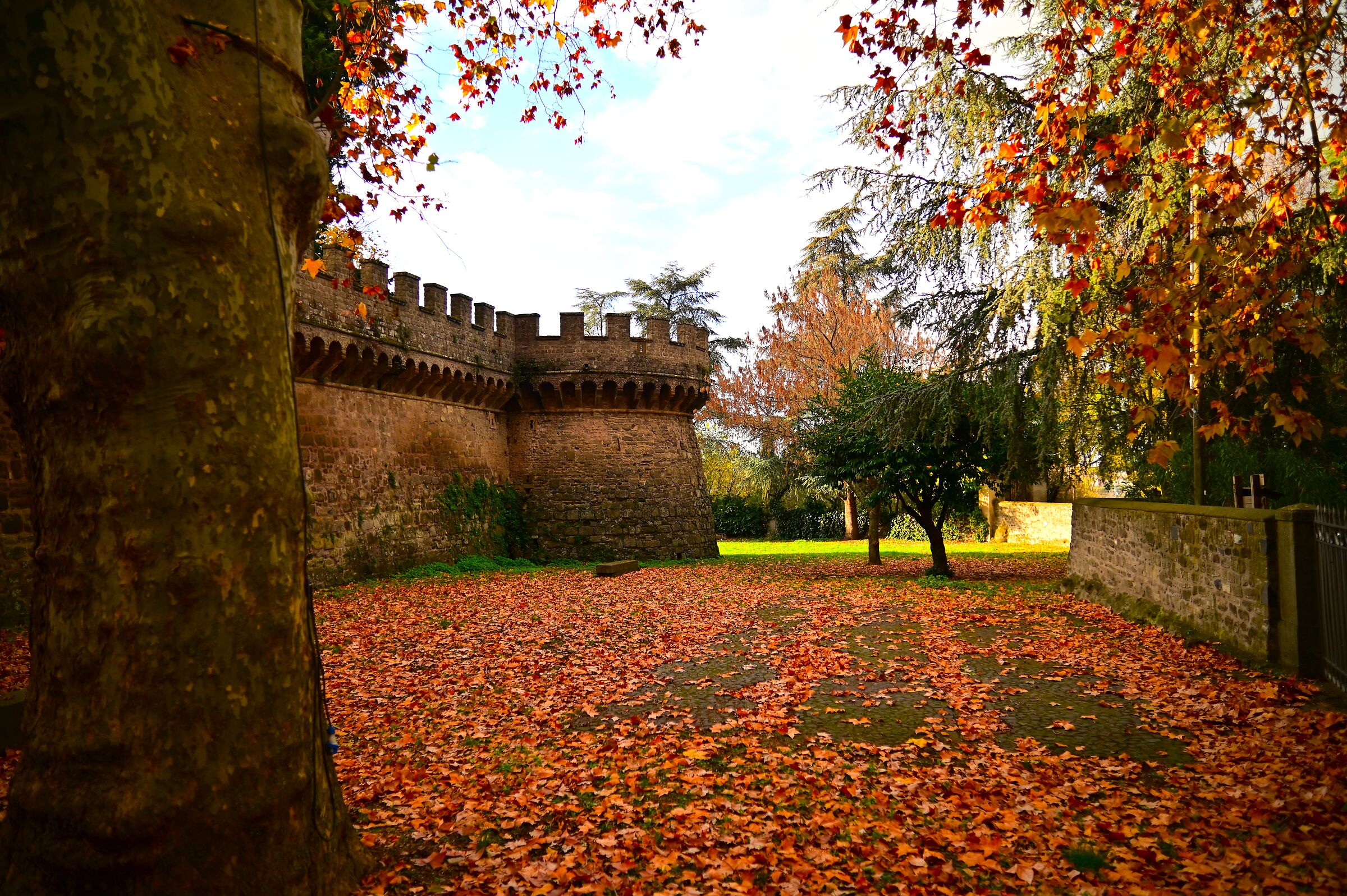 Grottaferrata