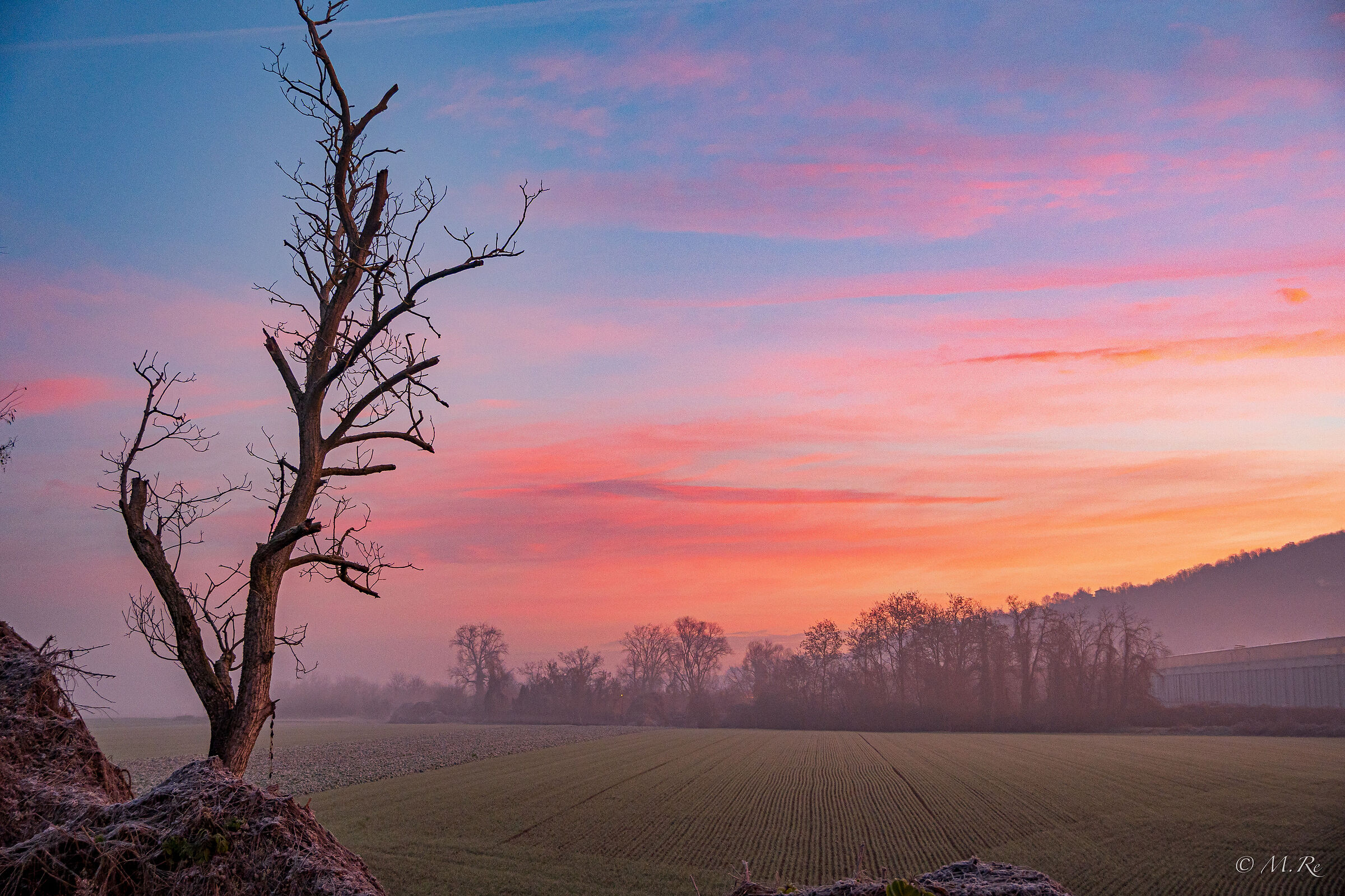 Red morning