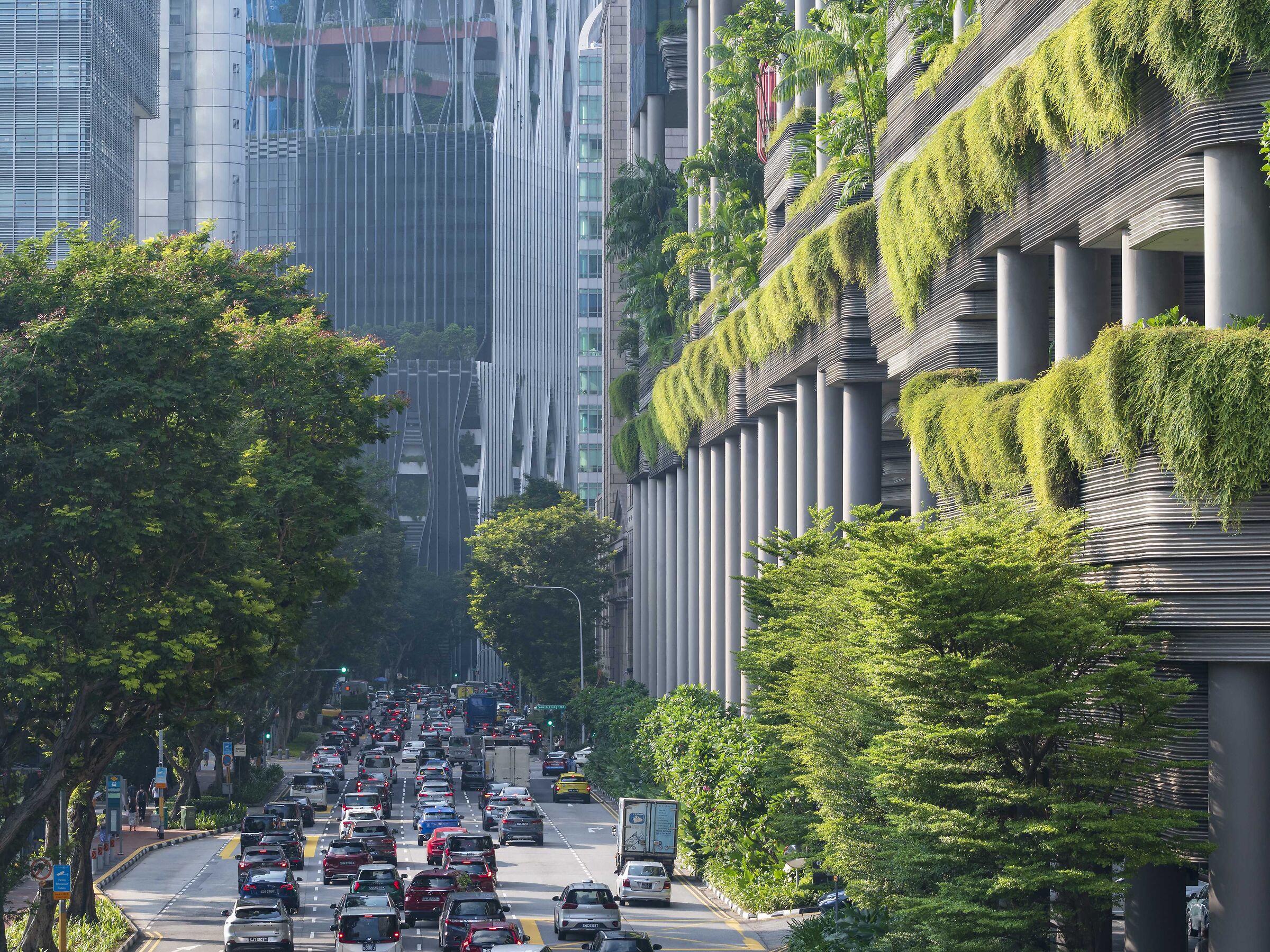 Ora di punta mattutina, CBD di Singapore