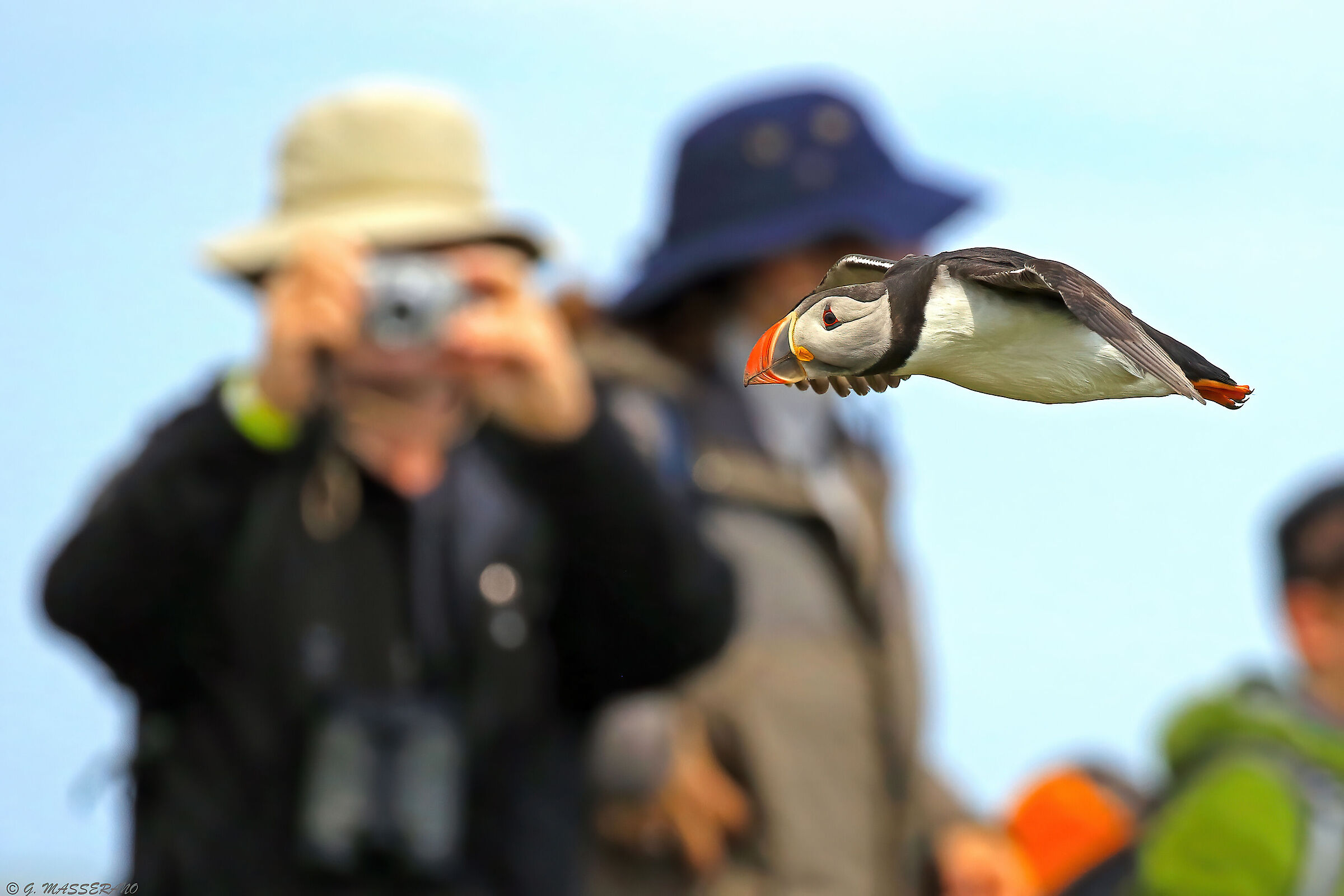 "Too many tourists on this island..."