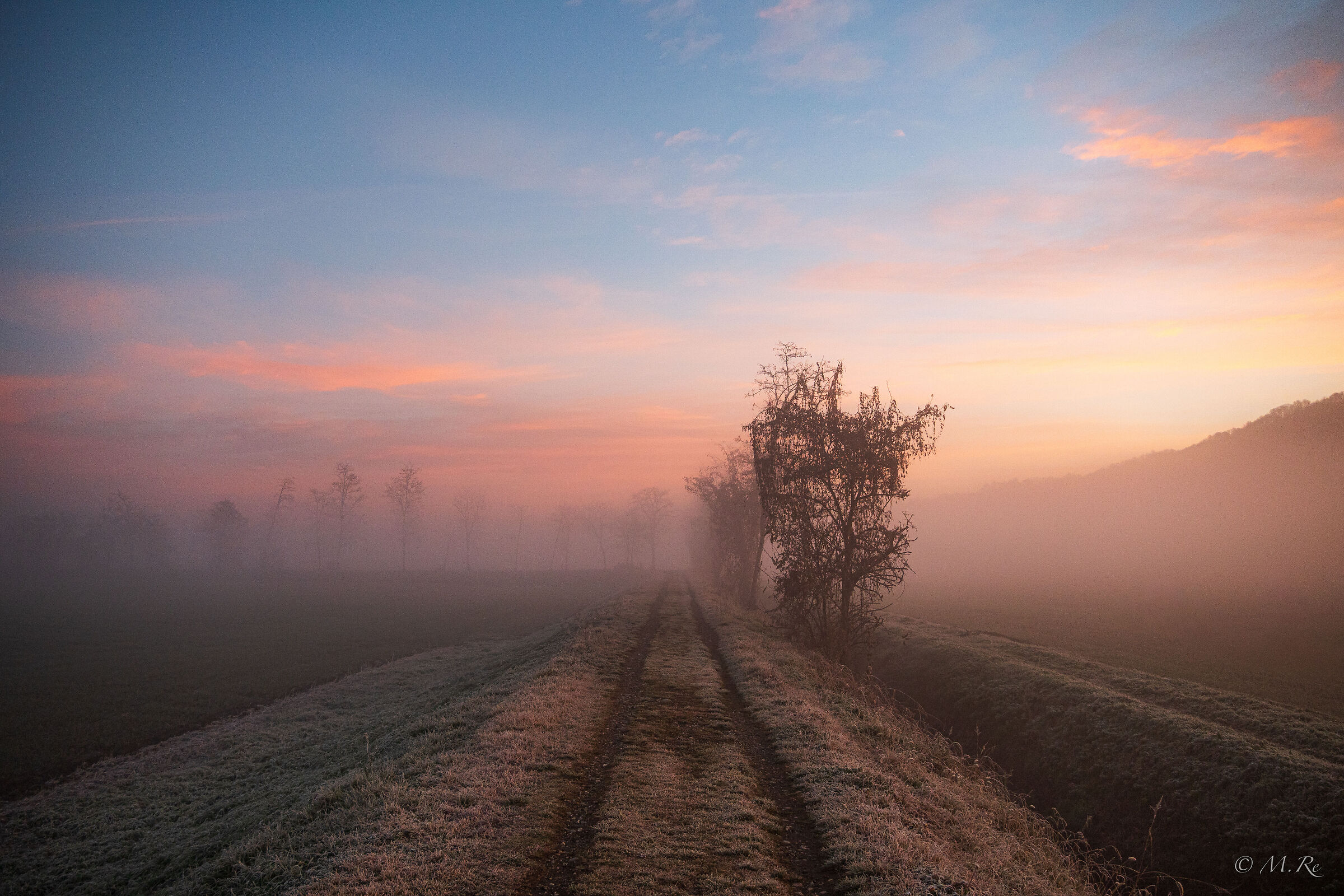 Mattina colorata e nebbiosa