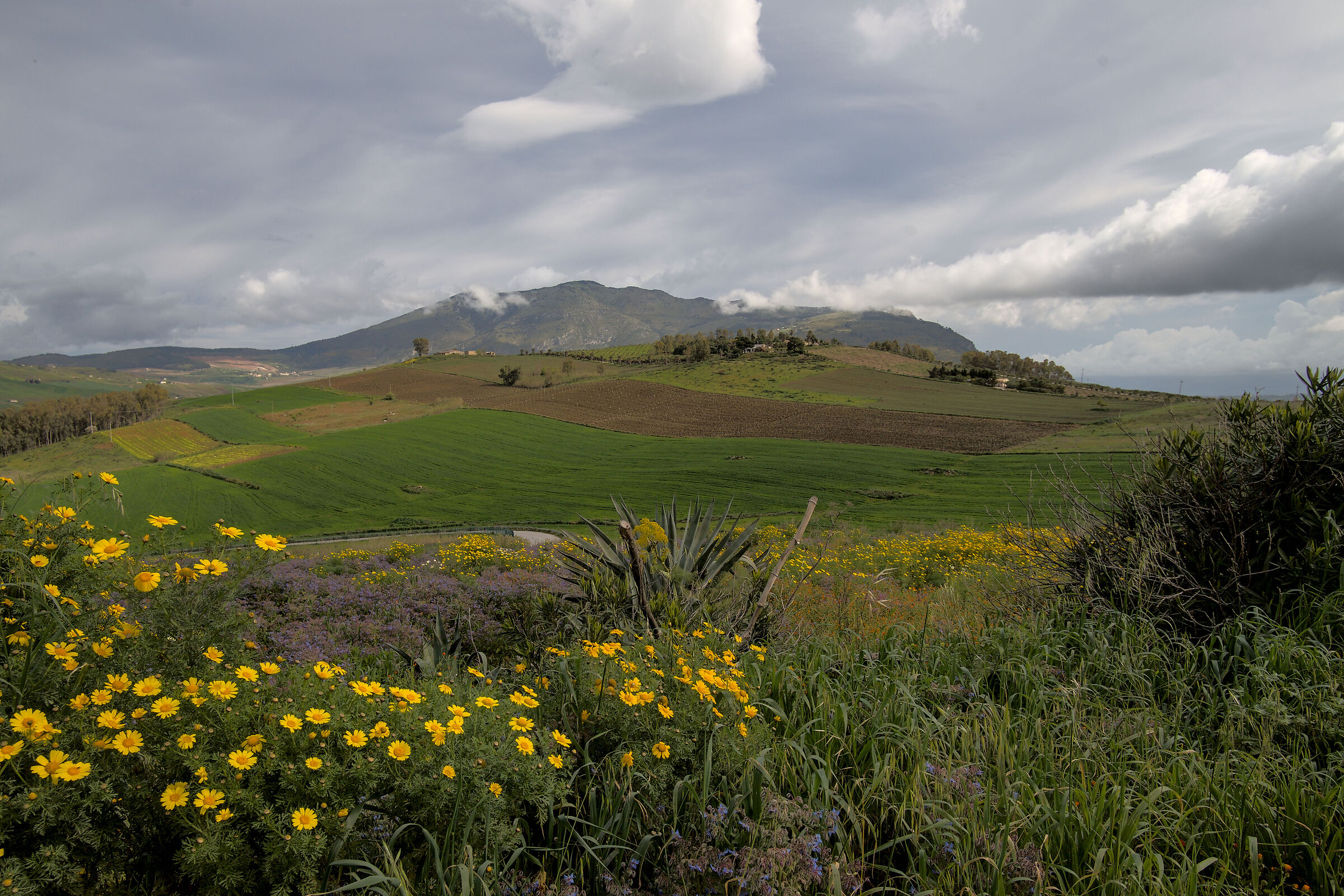 Segesta view from the temple hill