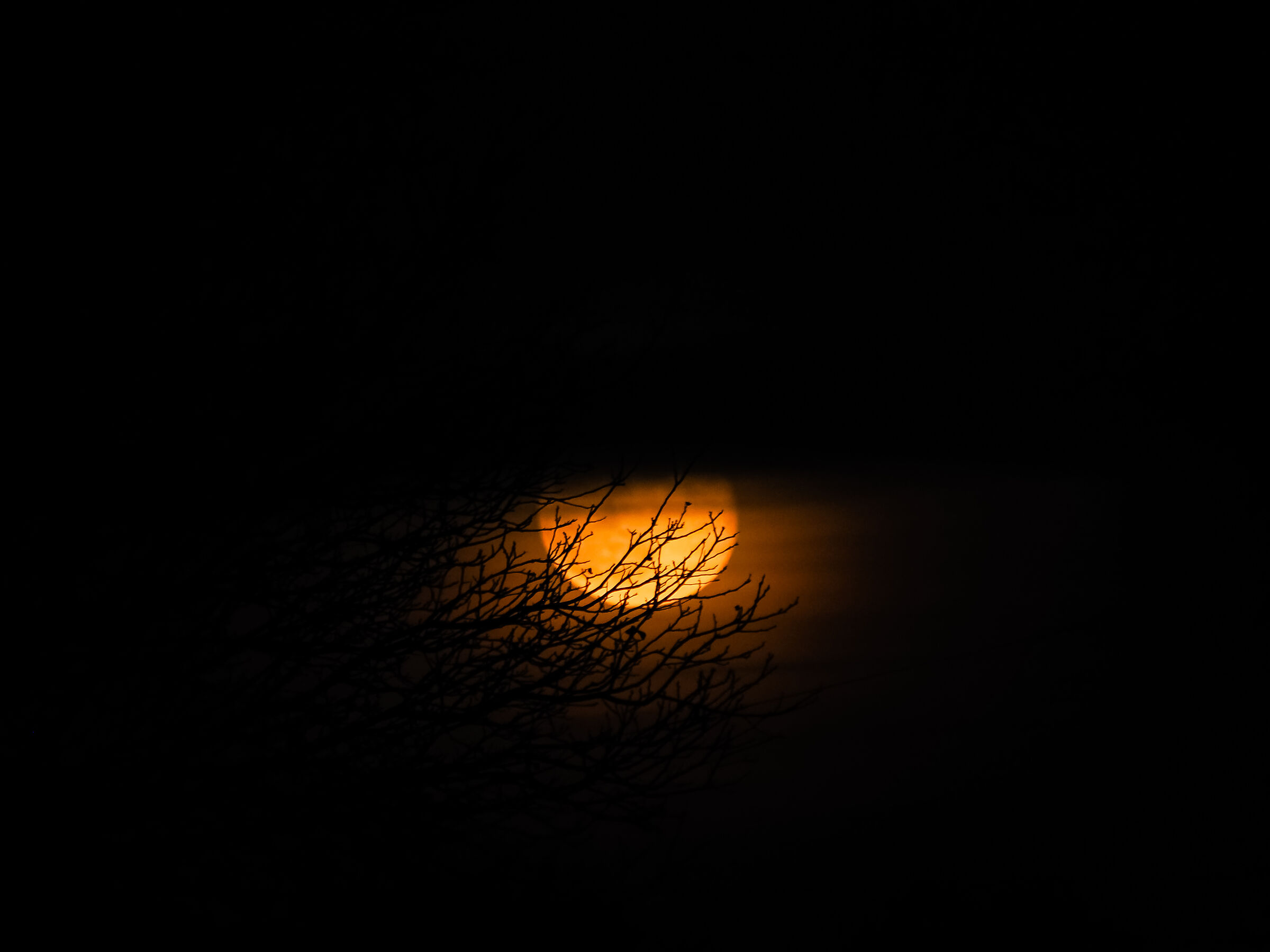 Moon2