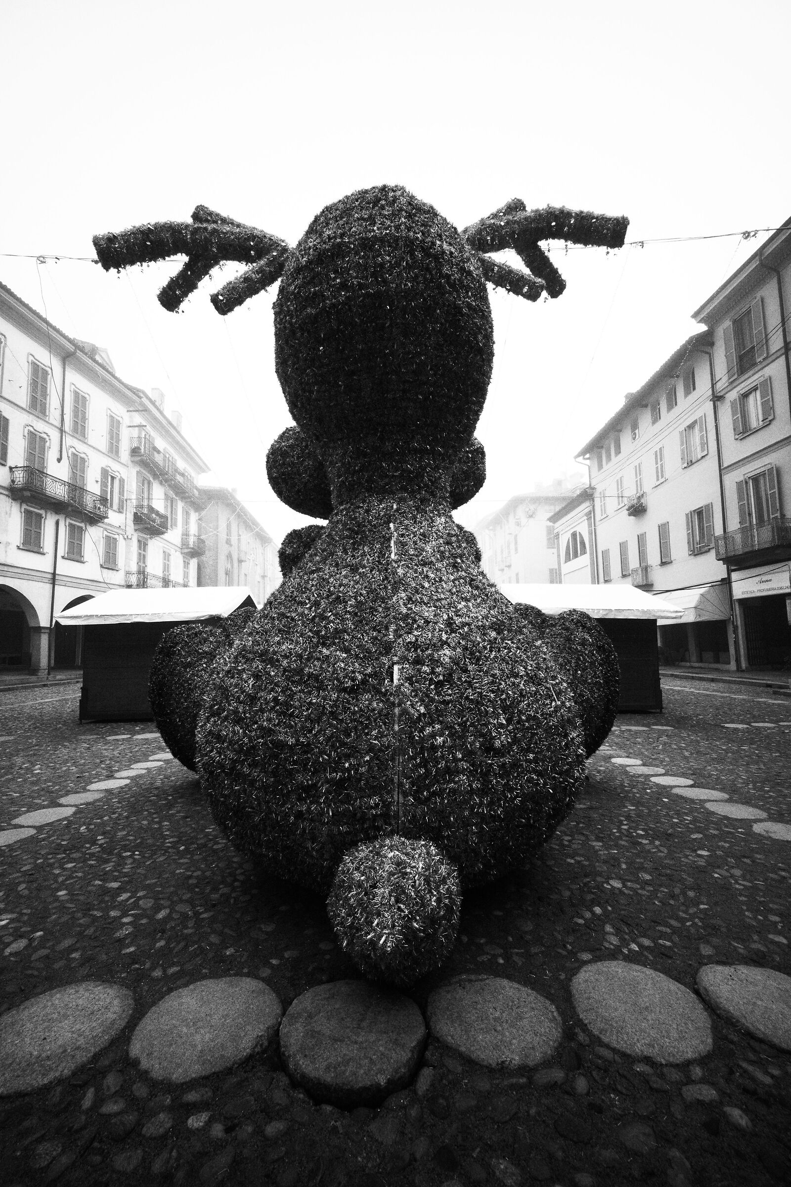 Il lato oscuro della renna