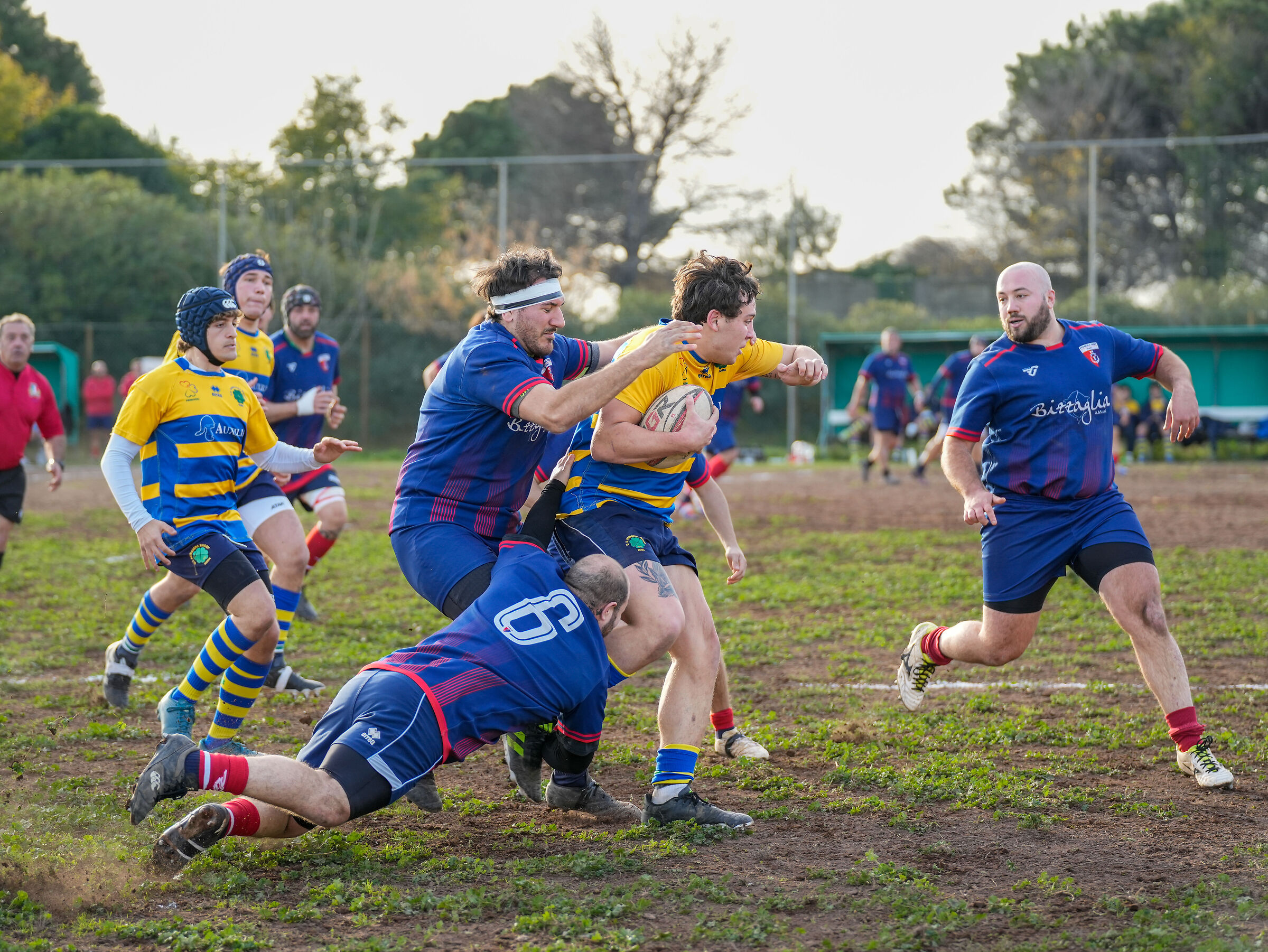Pomezia Rugby