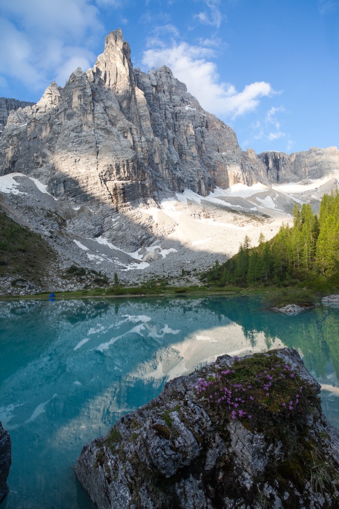 Rhododendrons and the lake