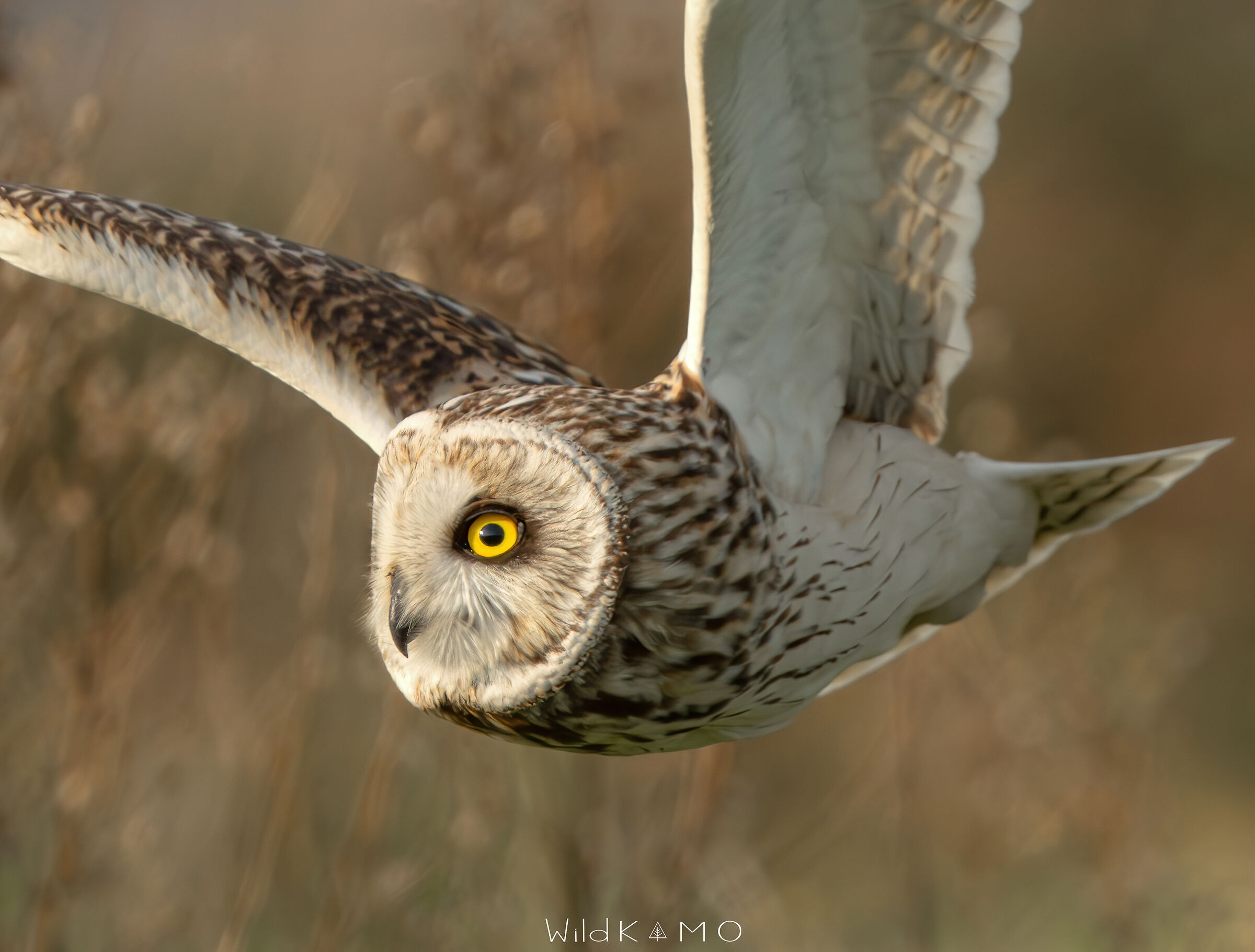 Quando il frame non basta