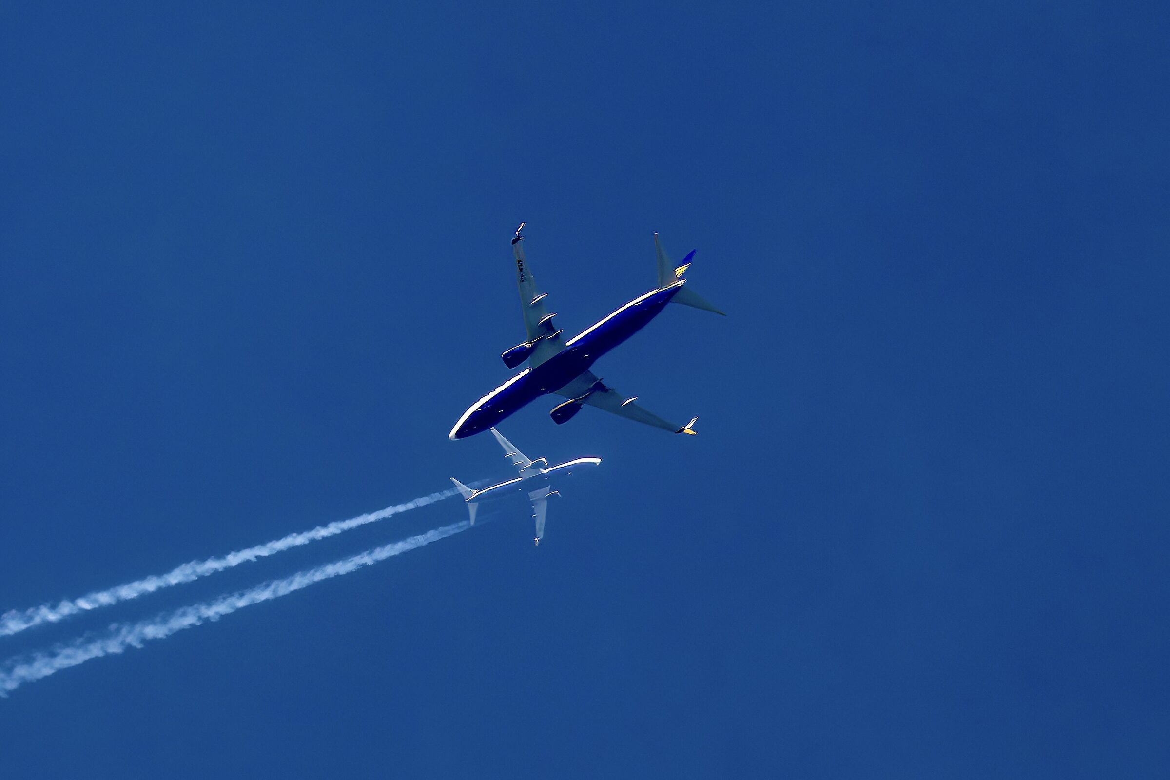 chi sale e chi scende