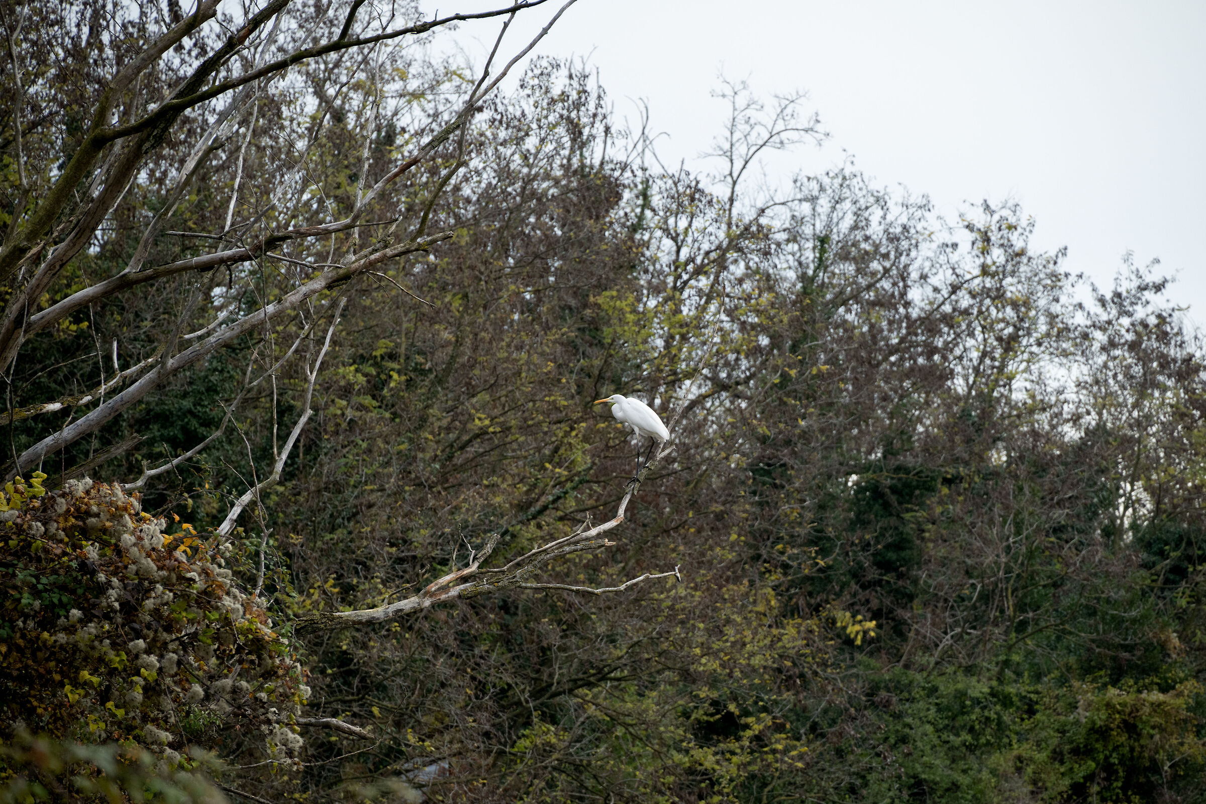 Untitled Photo