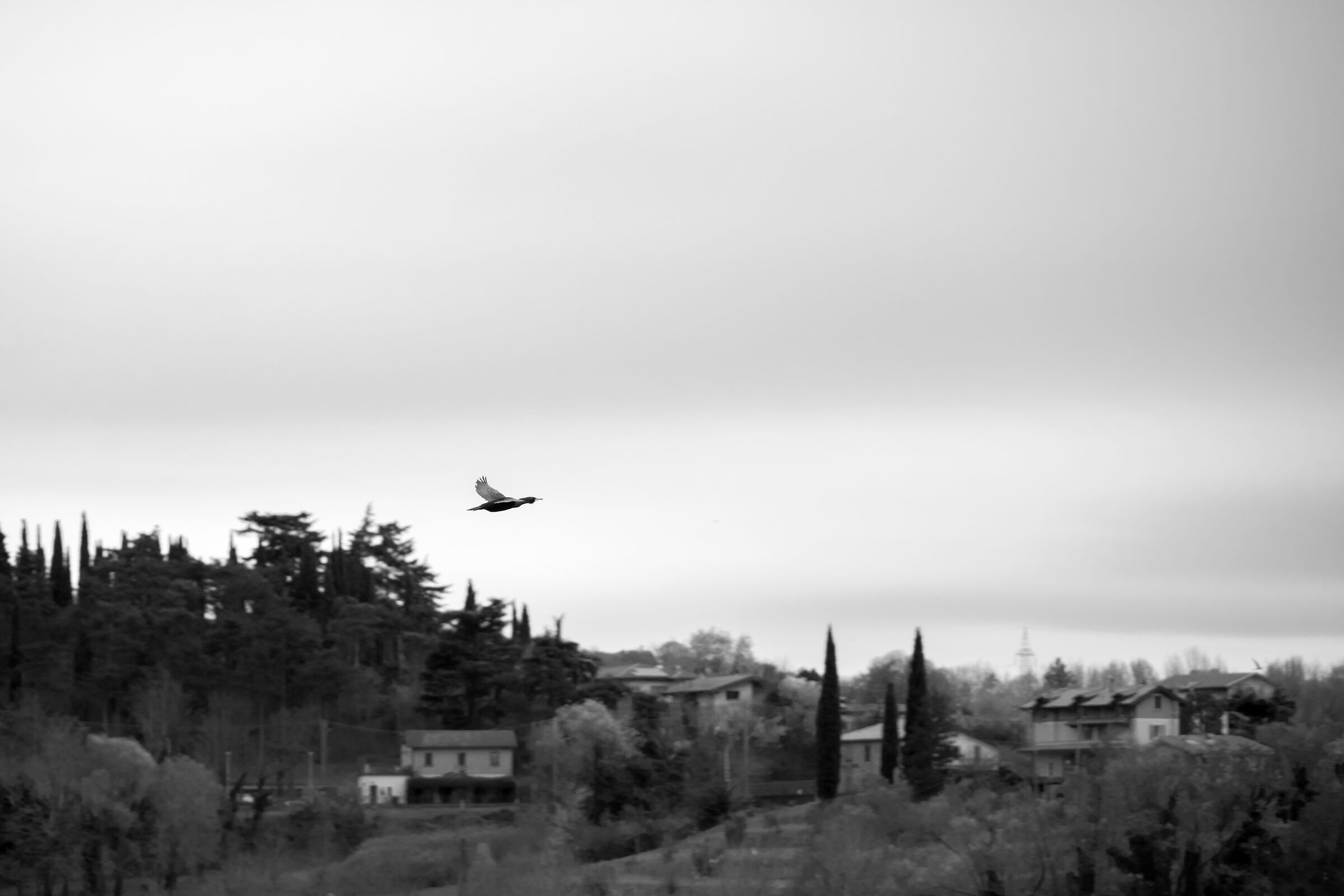 Untitled Photo