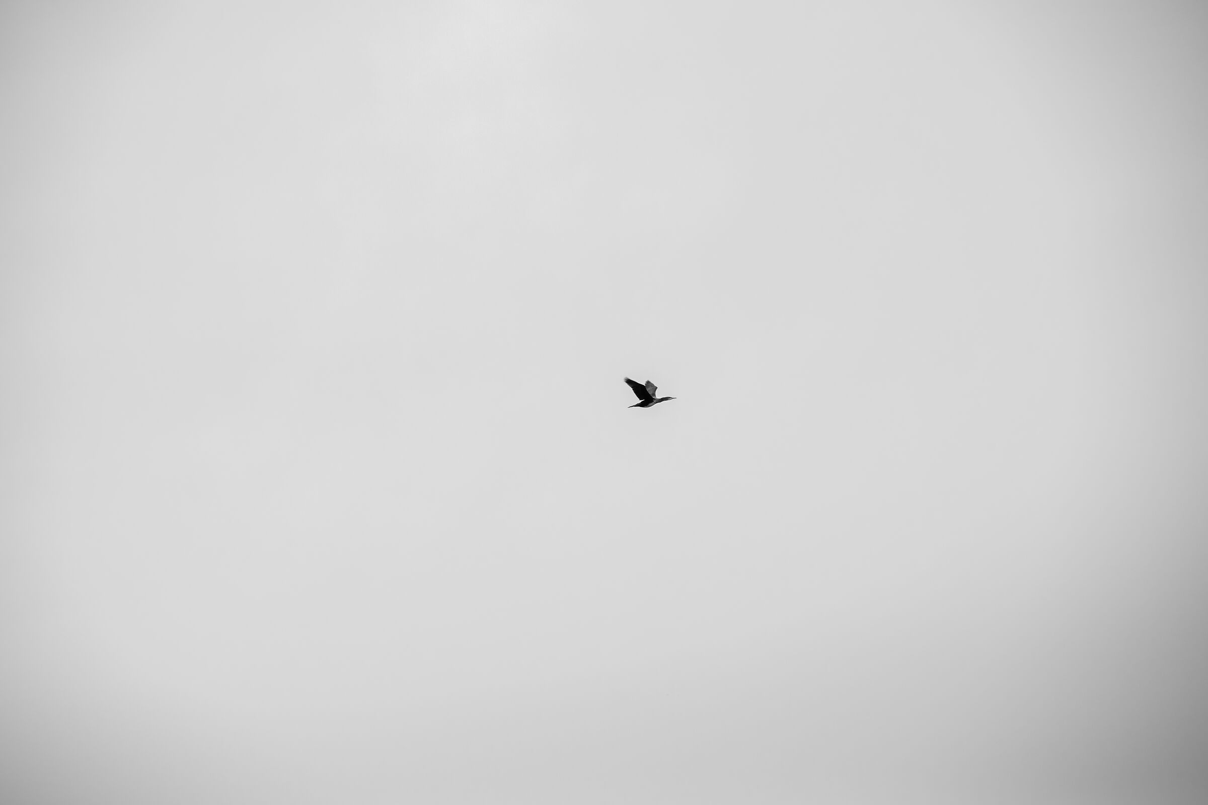 Untitled Photo