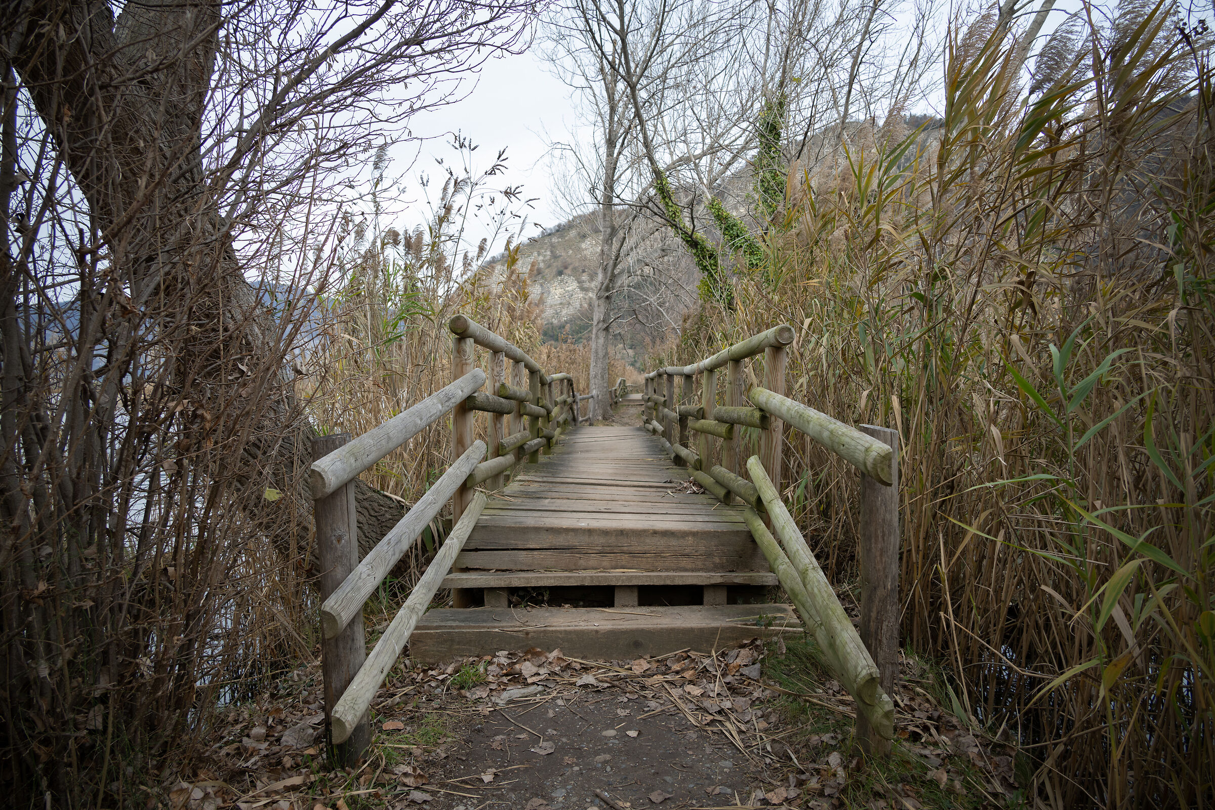 Untitled Photo