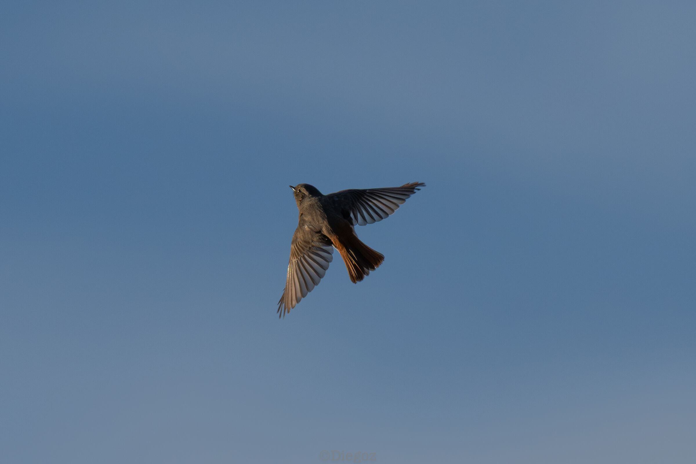 Untitled Photo