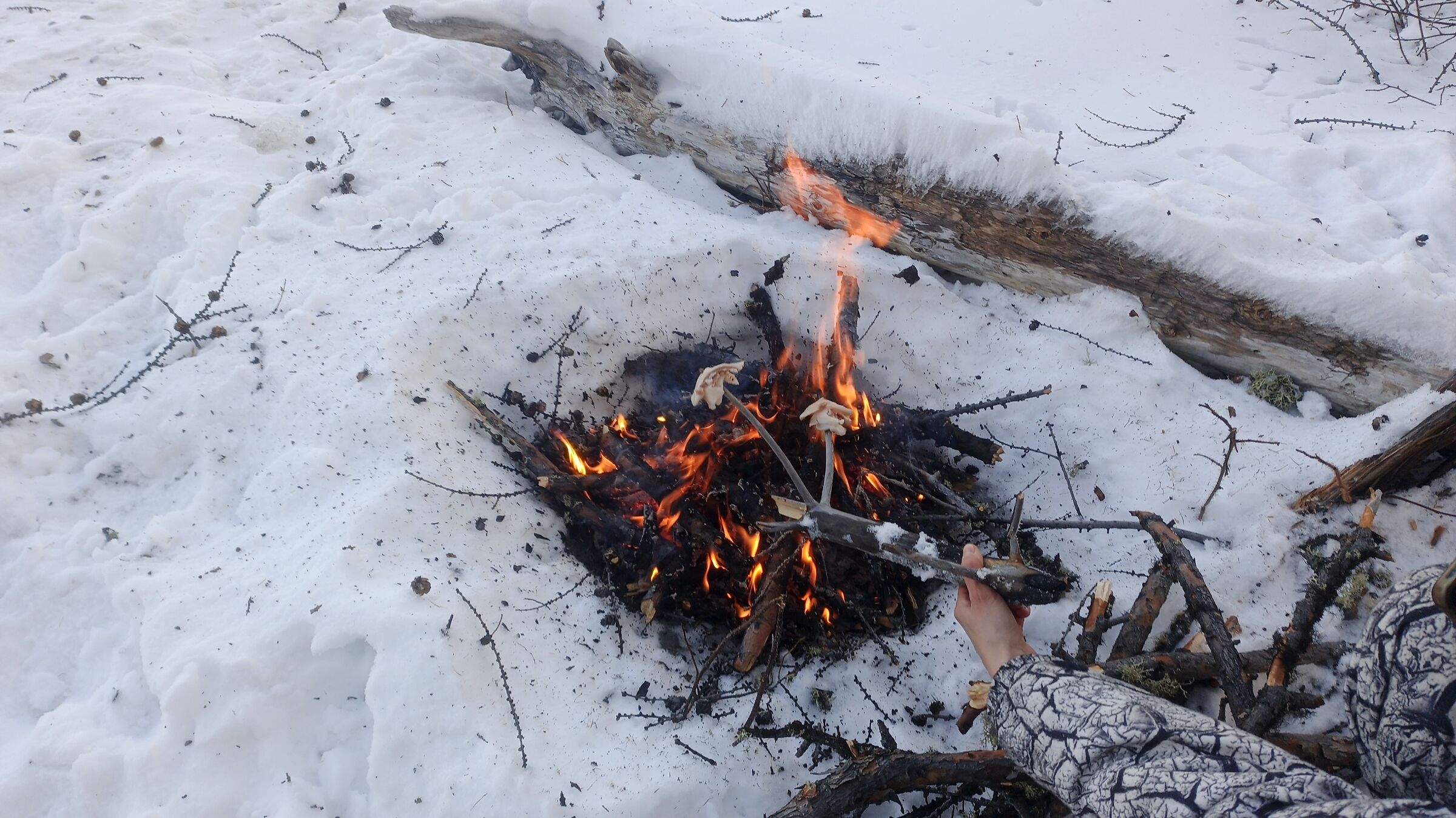 Baikal Settentrionale