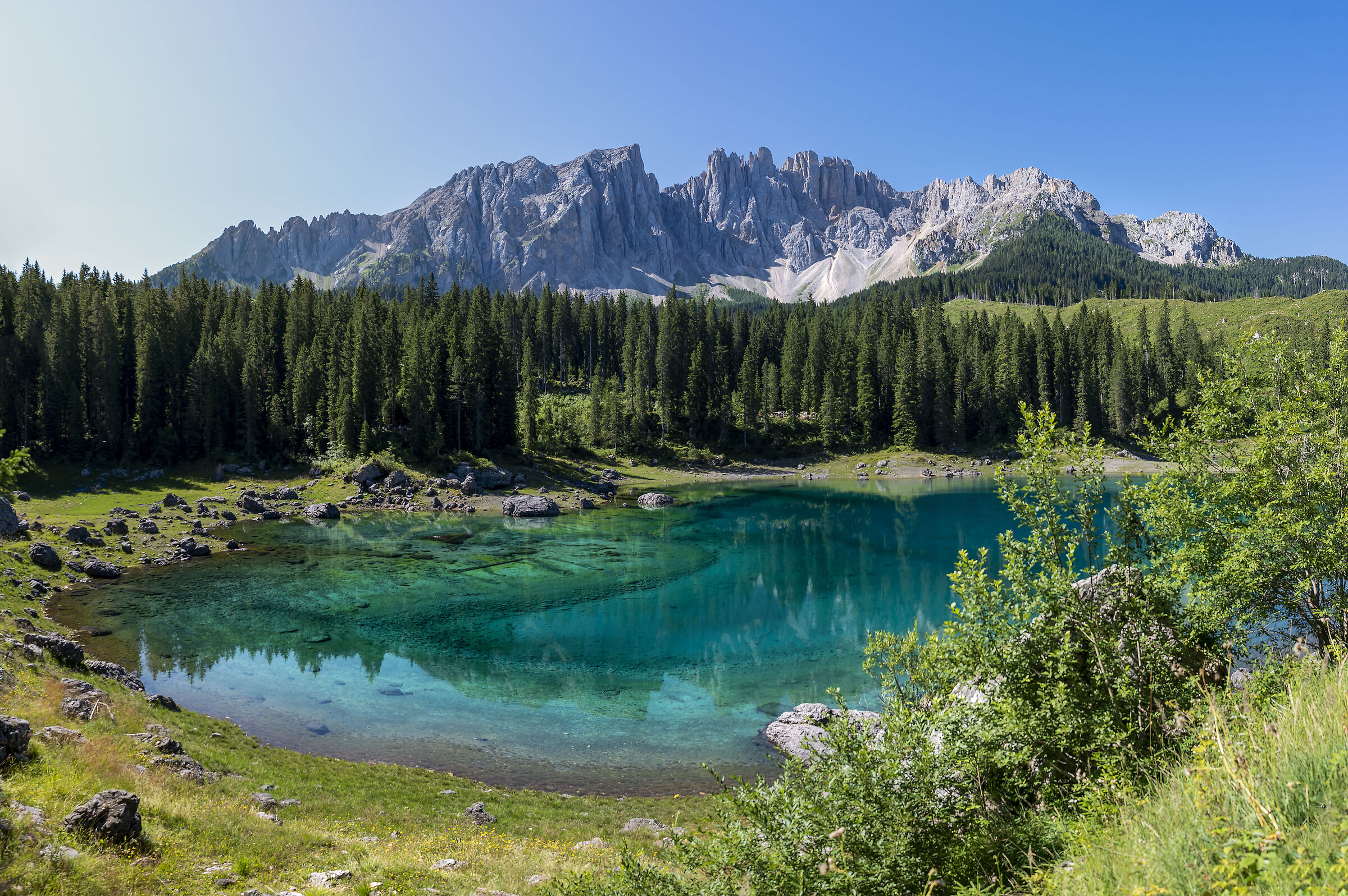 Carezza d'estate