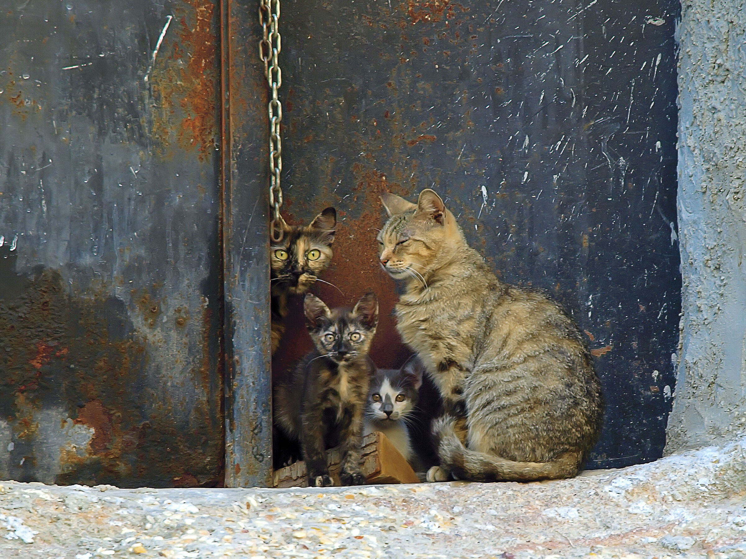 La Famiglia