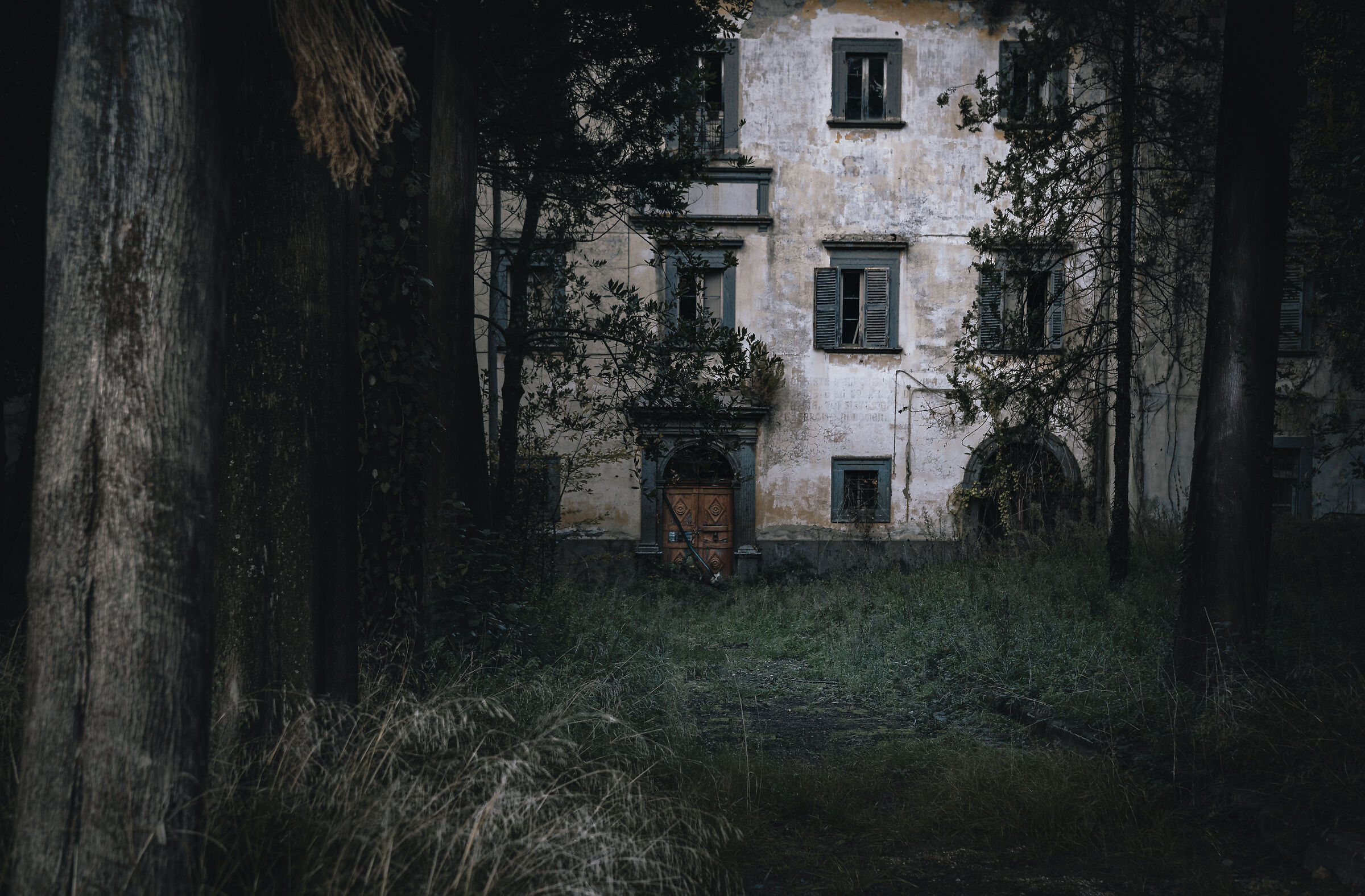 Dark Haus