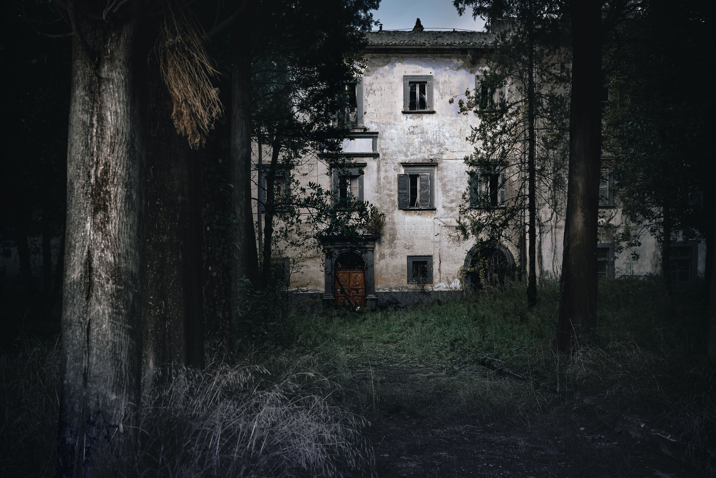 Dark Haus