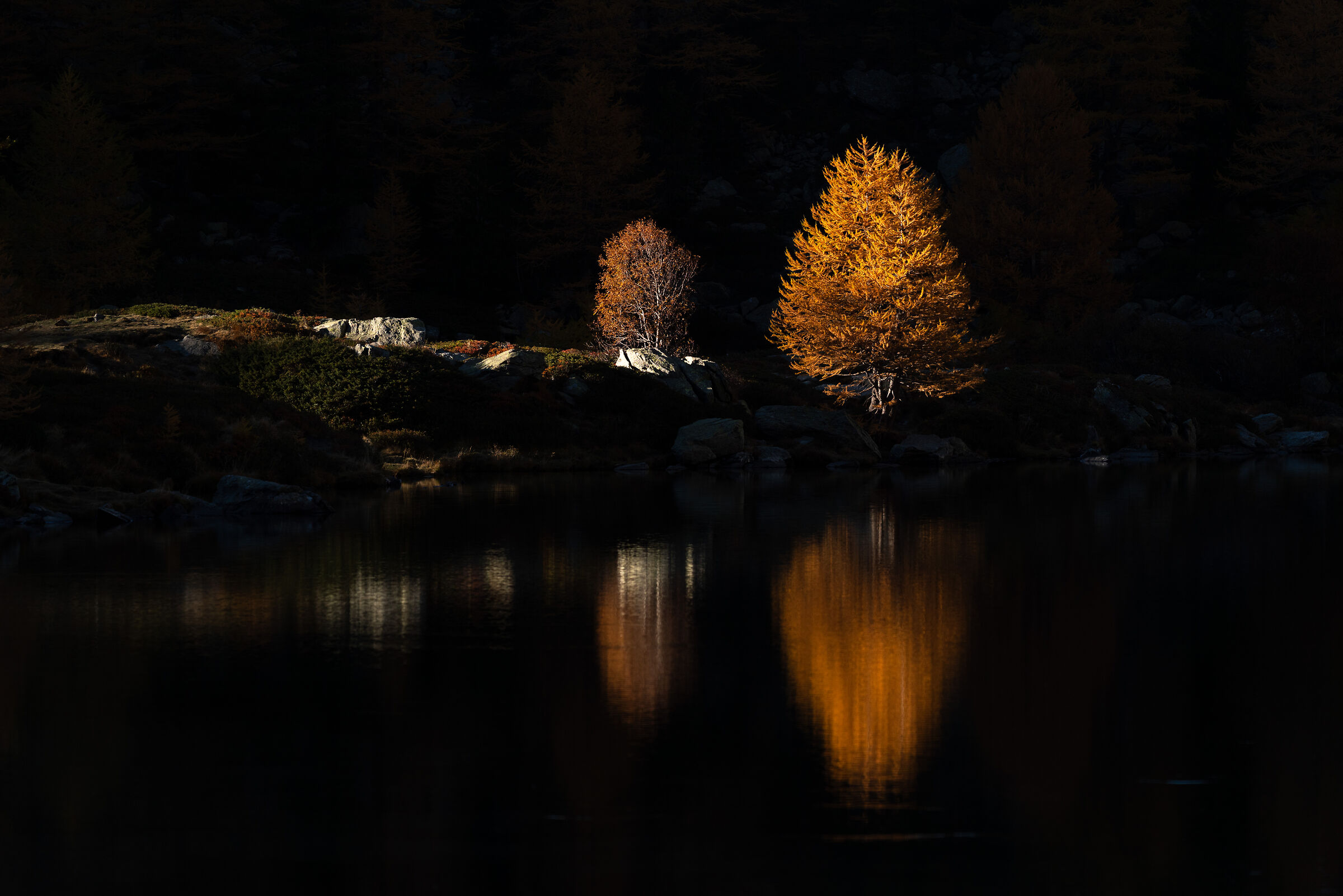 Light chooses who shines