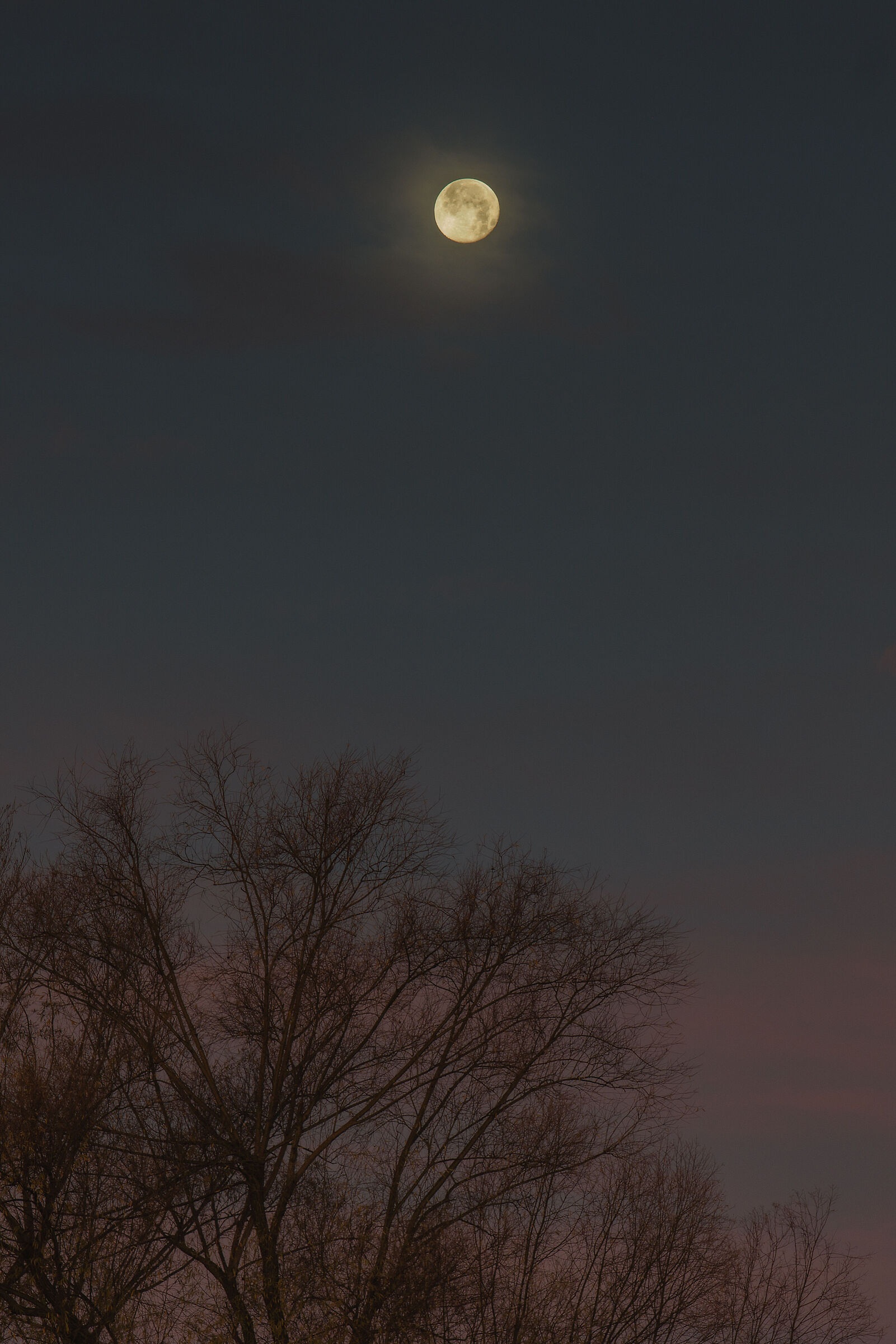 Luna piena all'alba