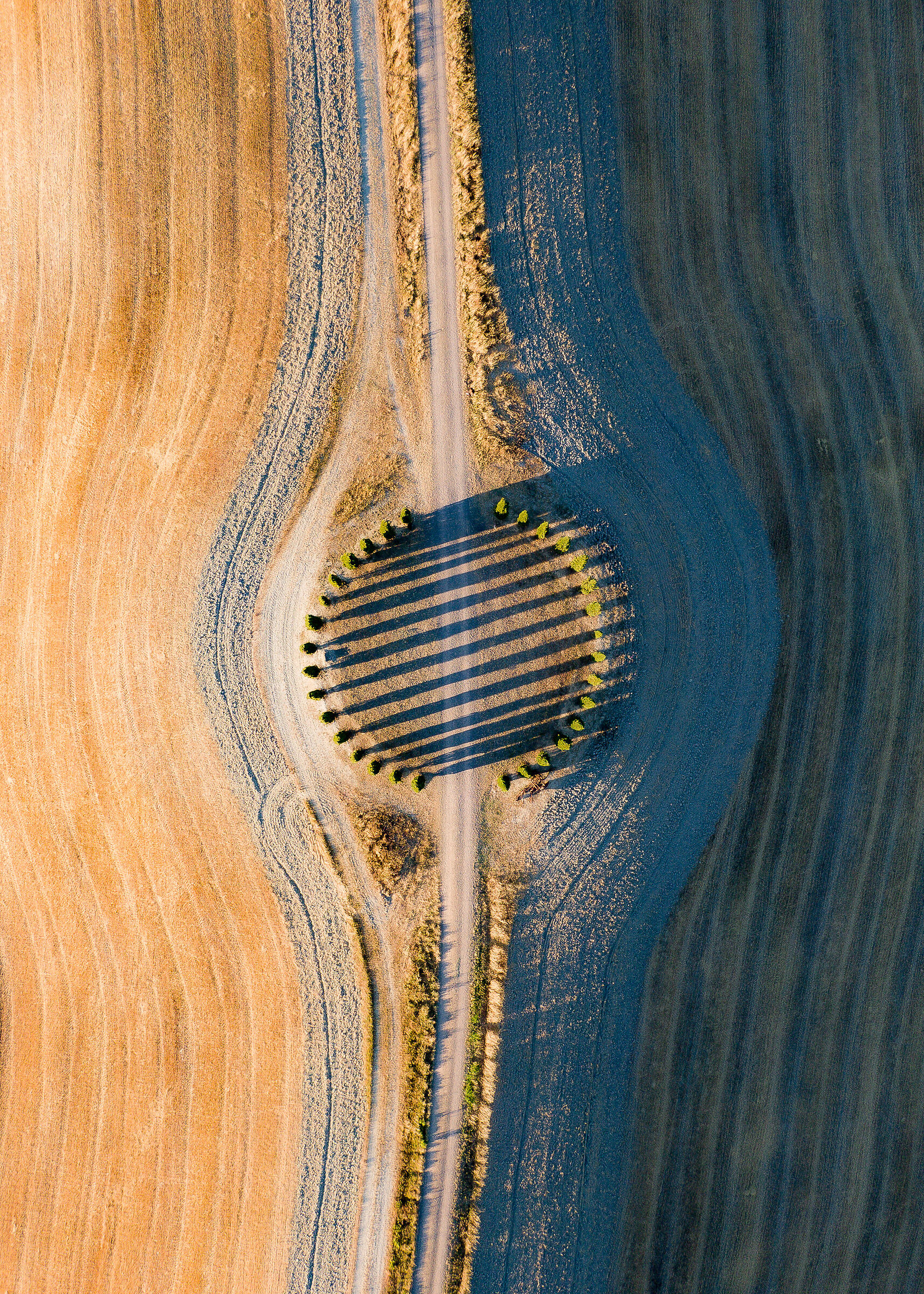 Circle