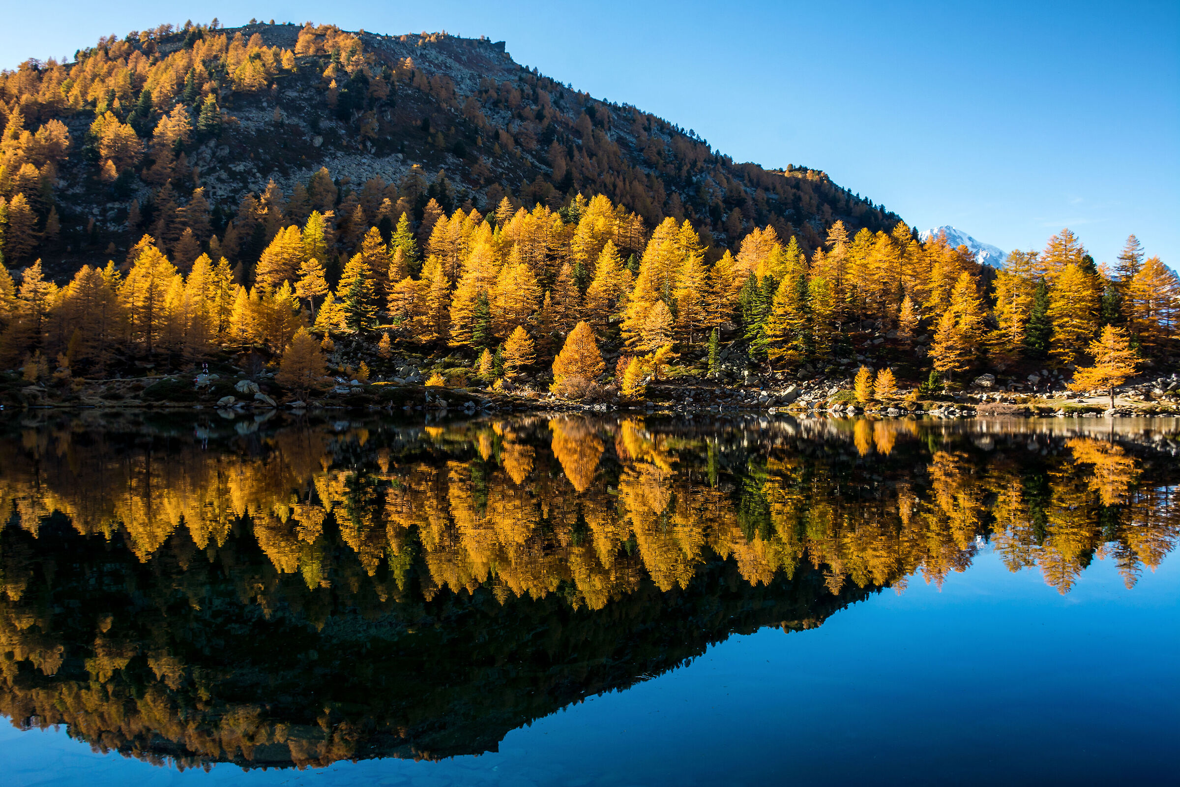 I riflessi magici di Arpy