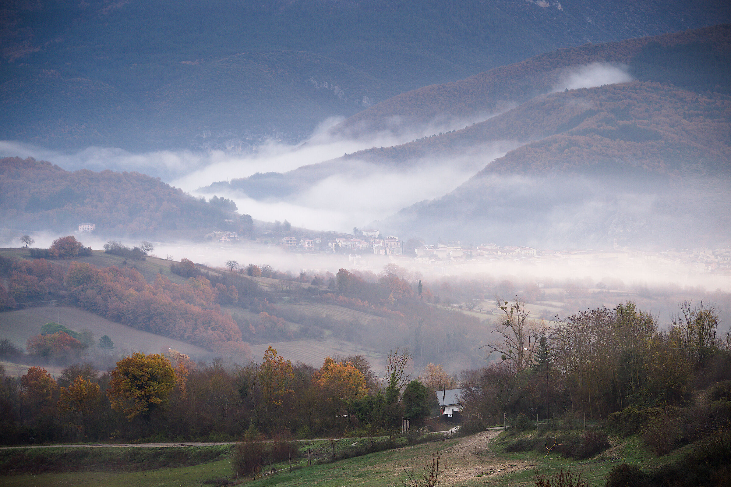 Untitled Photo