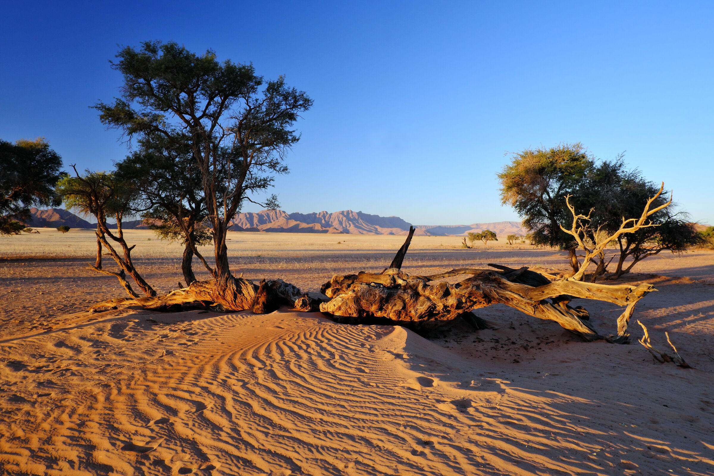 Namib-Naukluft National Park
