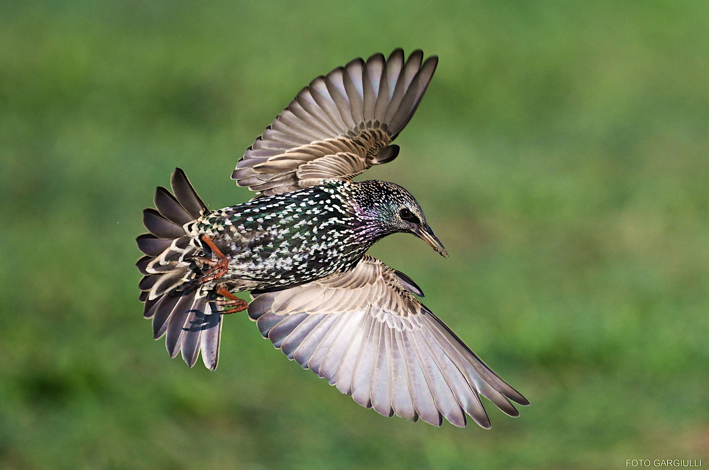 In-flight reversal
