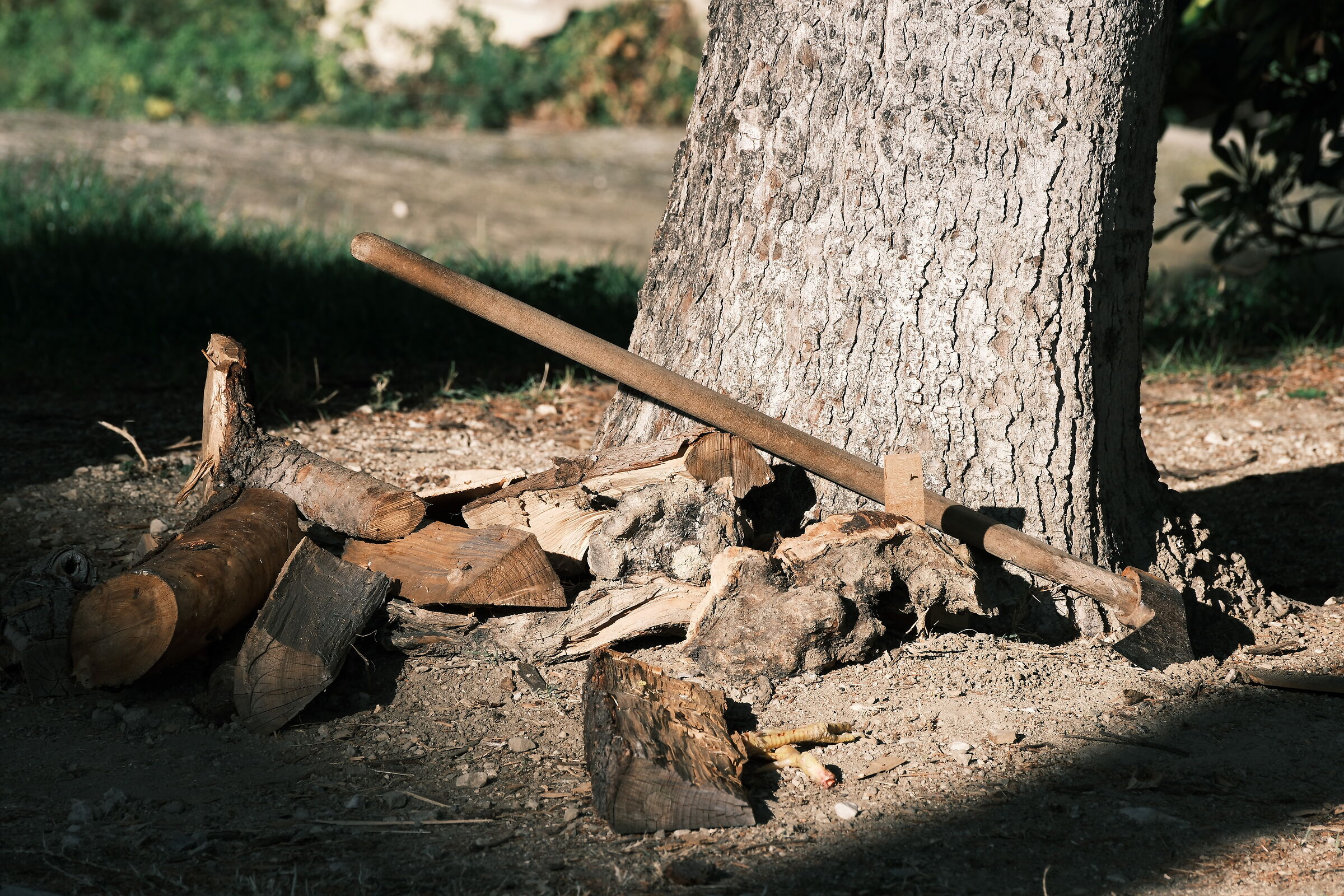 Leave the axe in the sun