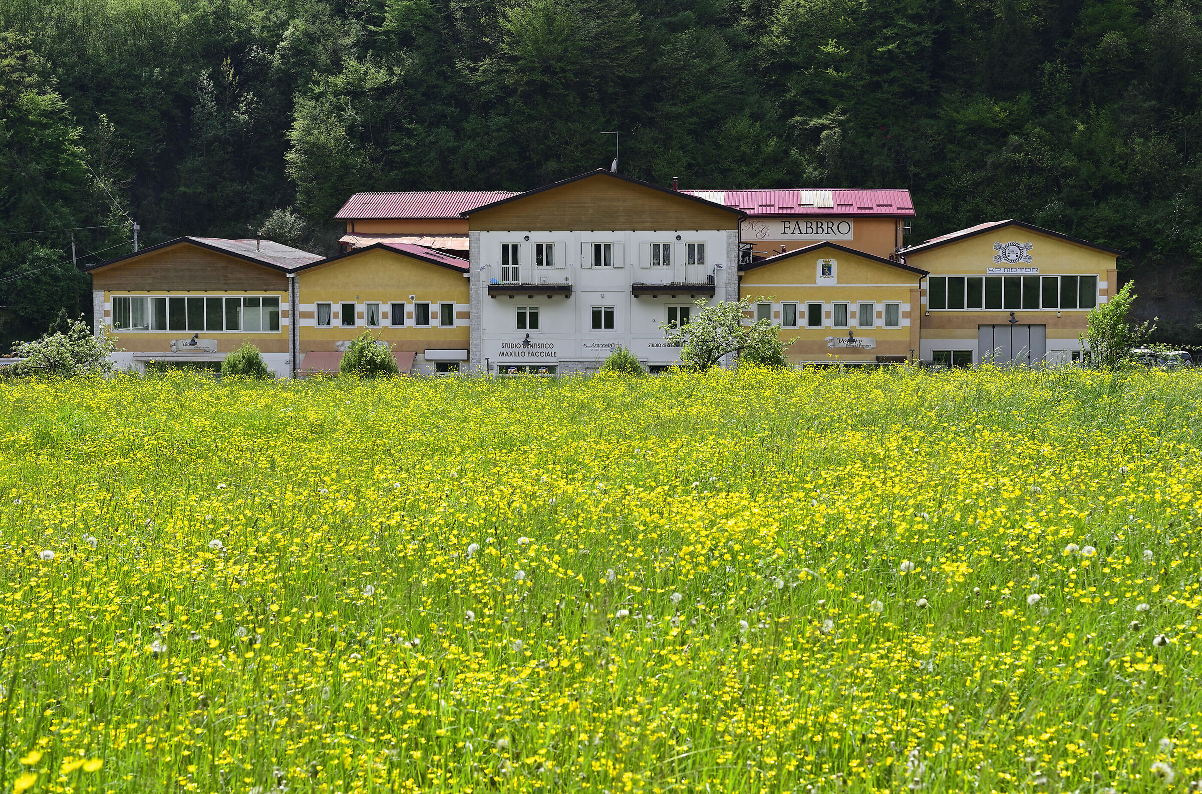 Landscape with (in)human elements